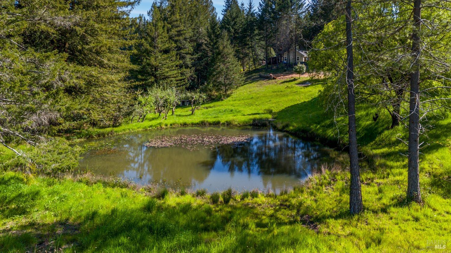 Detail Gallery Image 37 of 43 For 31150 Comptche Ukiah Rd, Comptche,  CA 95427 - 3 Beds | 1/1 Baths