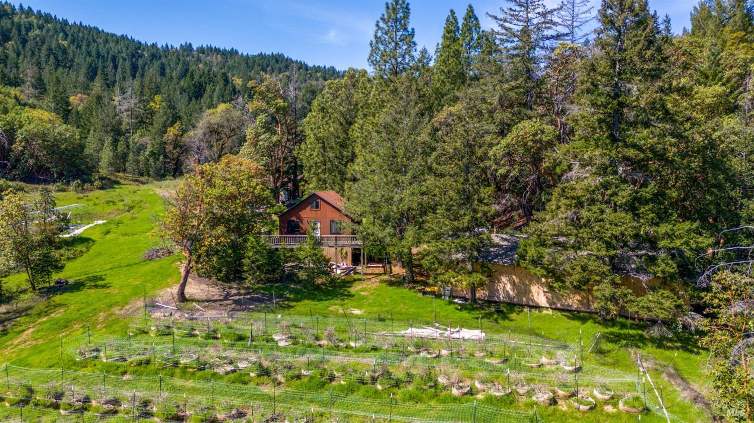 Detail Gallery Image 4 of 20 For 8500 Simmerly Rd, Laytonville,  CA 95454 - 1 Beds | 2 Baths
