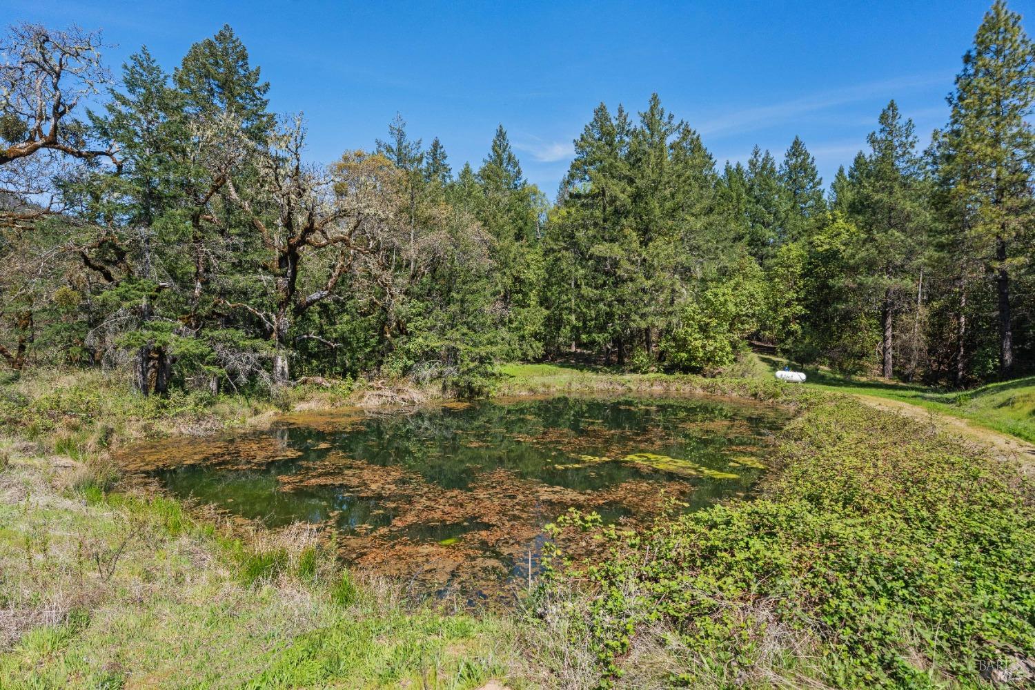 Detail Gallery Image 8 of 20 For 8500 Simmerly Rd, Laytonville,  CA 95454 - 1 Beds | 2 Baths