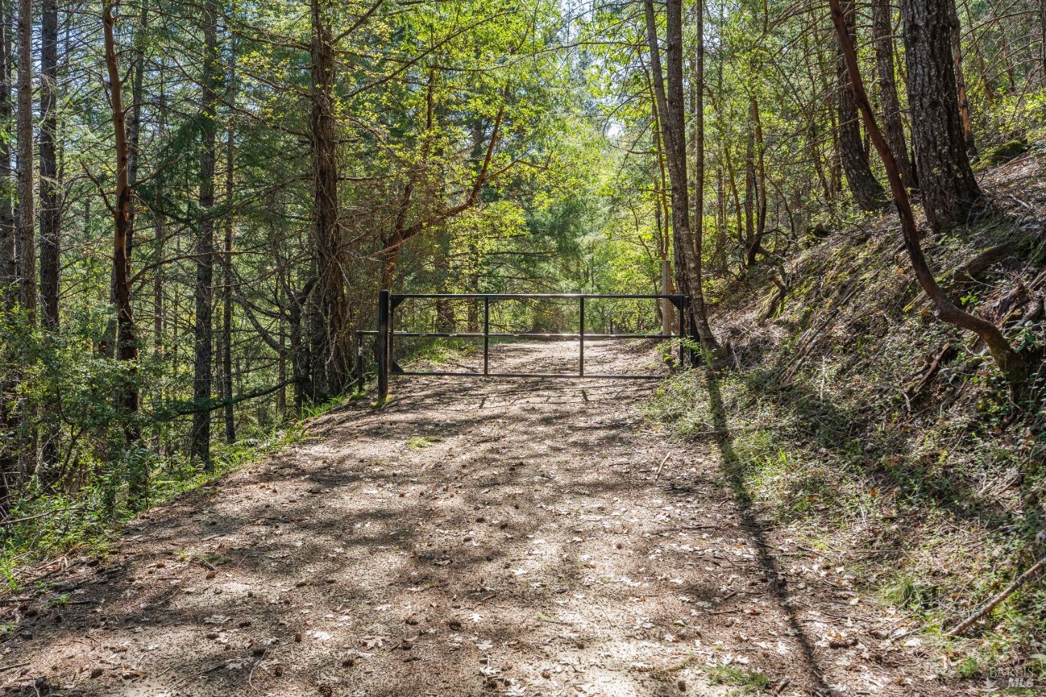 Detail Gallery Image 7 of 20 For 8500 Simmerly Rd, Laytonville,  CA 95454 - 1 Beds | 2 Baths