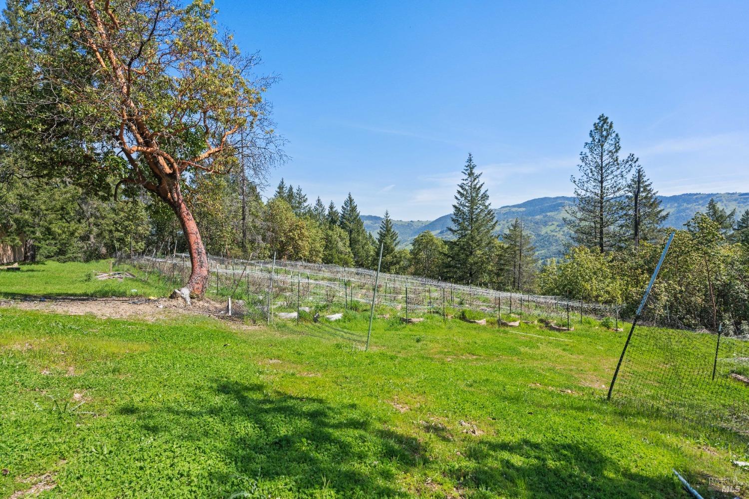 Detail Gallery Image 6 of 20 For 8500 Simmerly Rd, Laytonville,  CA 95454 - 1 Beds | 2 Baths