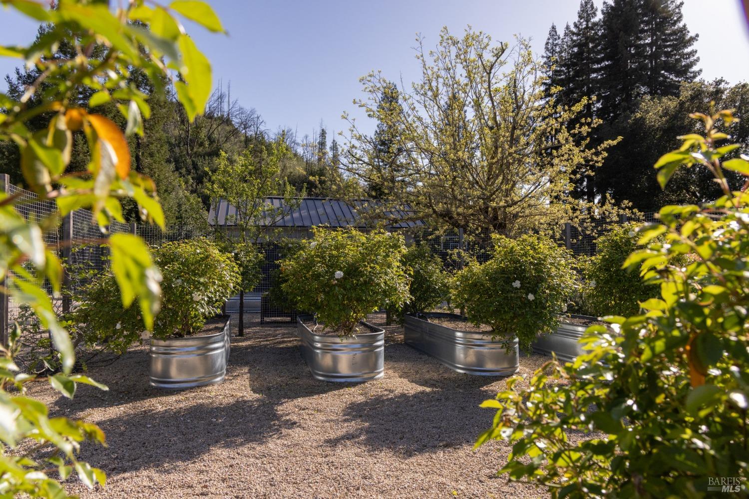 Detail Gallery Image 15 of 36 For 3870 Mountain Home Ranch Rd, Calistoga,  CA 94515 - 4 Beds | 4/2 Baths