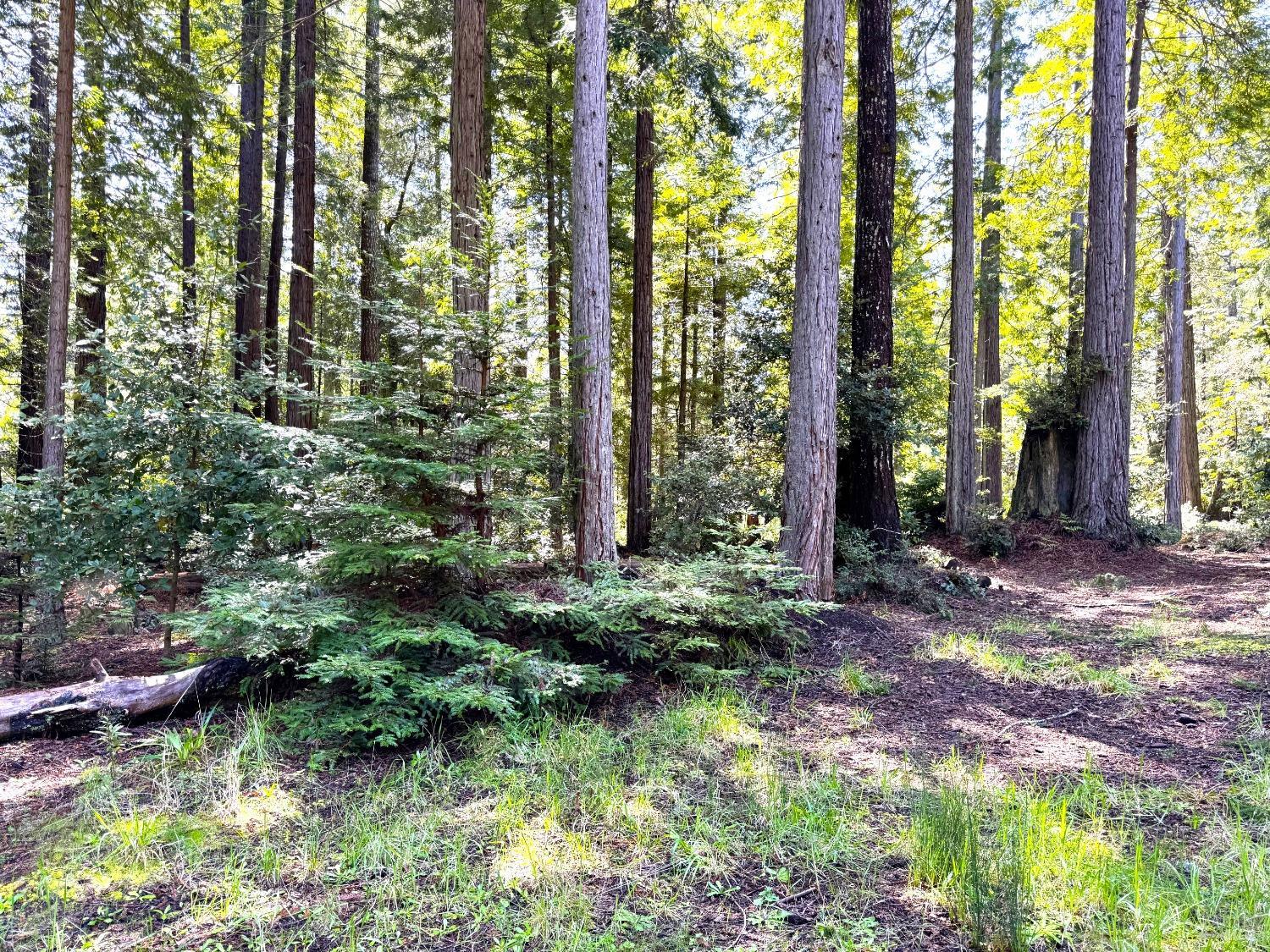 Detail Gallery Image 5 of 11 For 43700 Tibbens Ln, Mendocino,  CA 95460 - – Beds | – Baths