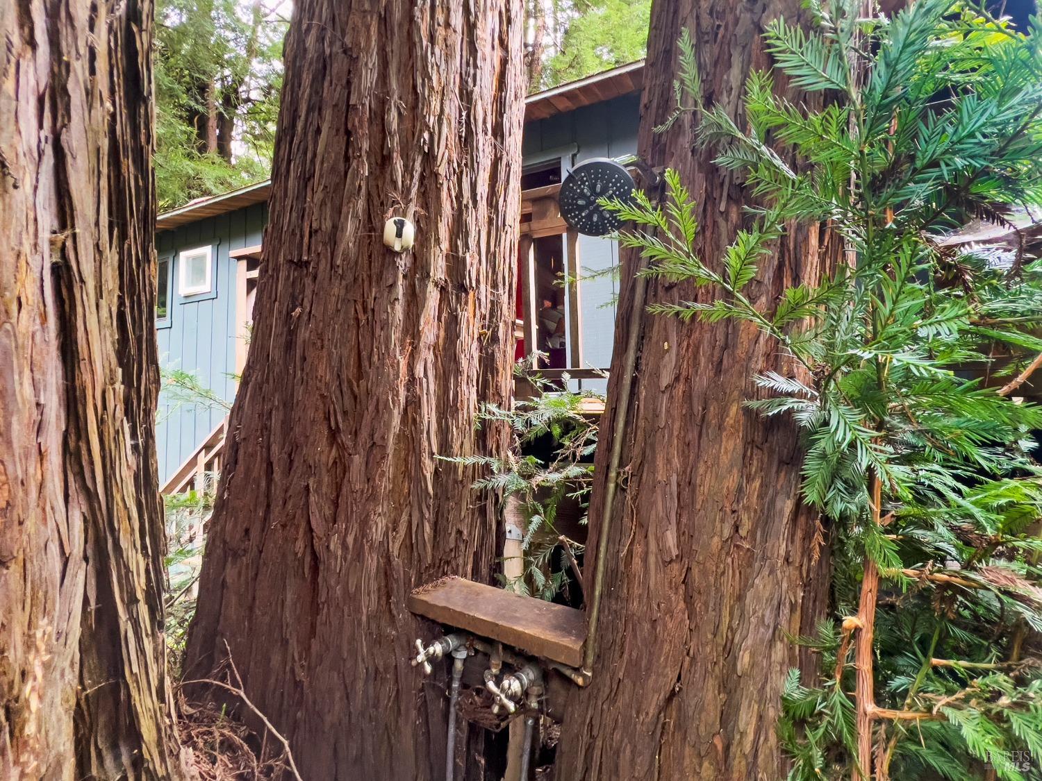 Detail Gallery Image 28 of 39 For 2660 Cazadero Hwy, Cazadero,  CA 95421 - 2 Beds | 1 Baths