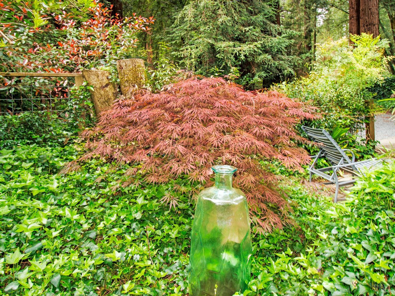 Detail Gallery Image 35 of 39 For 2660 Cazadero Hwy, Cazadero,  CA 95421 - 2 Beds | 1 Baths