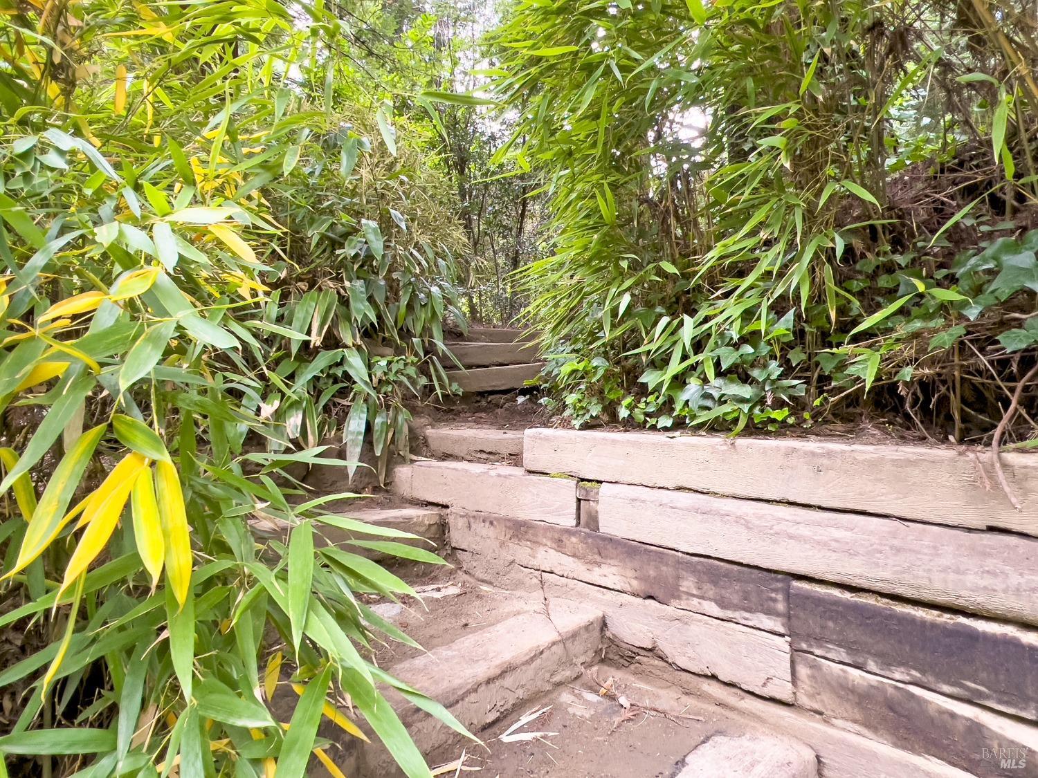 Detail Gallery Image 33 of 39 For 2660 Cazadero Hwy, Cazadero,  CA 95421 - 2 Beds | 1 Baths