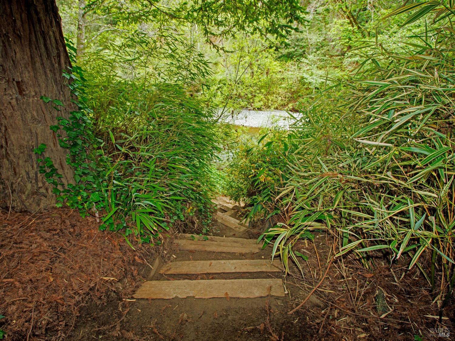 Detail Gallery Image 30 of 39 For 2660 Cazadero Hwy, Cazadero,  CA 95421 - 2 Beds | 1 Baths