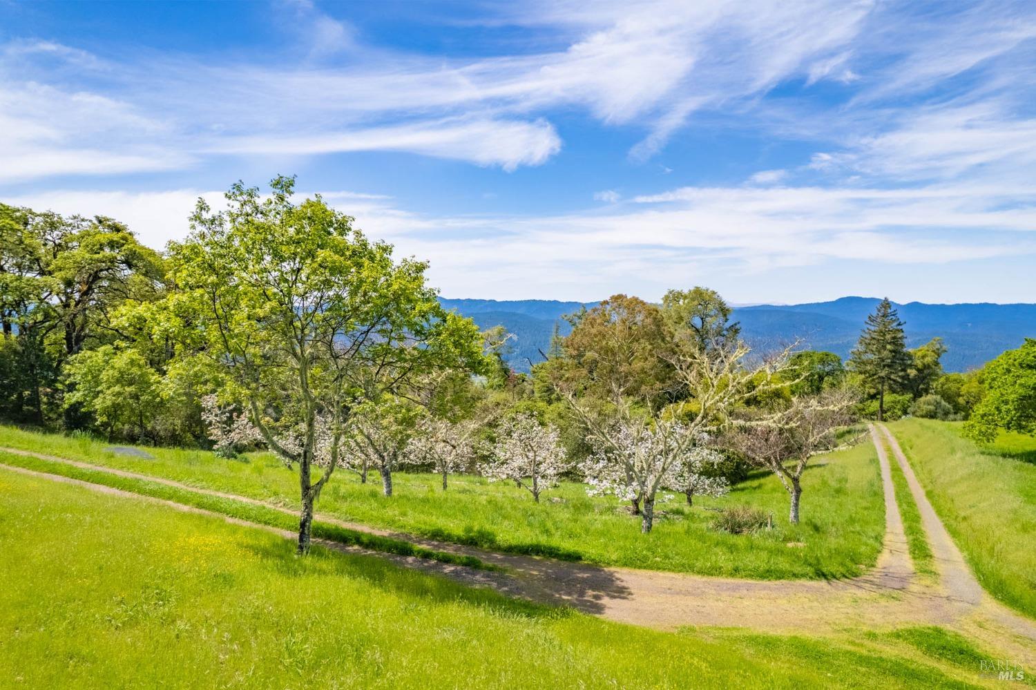 Detail Gallery Image 85 of 98 For 16121 Deer Meadows Rd, Boonville,  CA 95415 - 4 Beds | 3/1 Baths