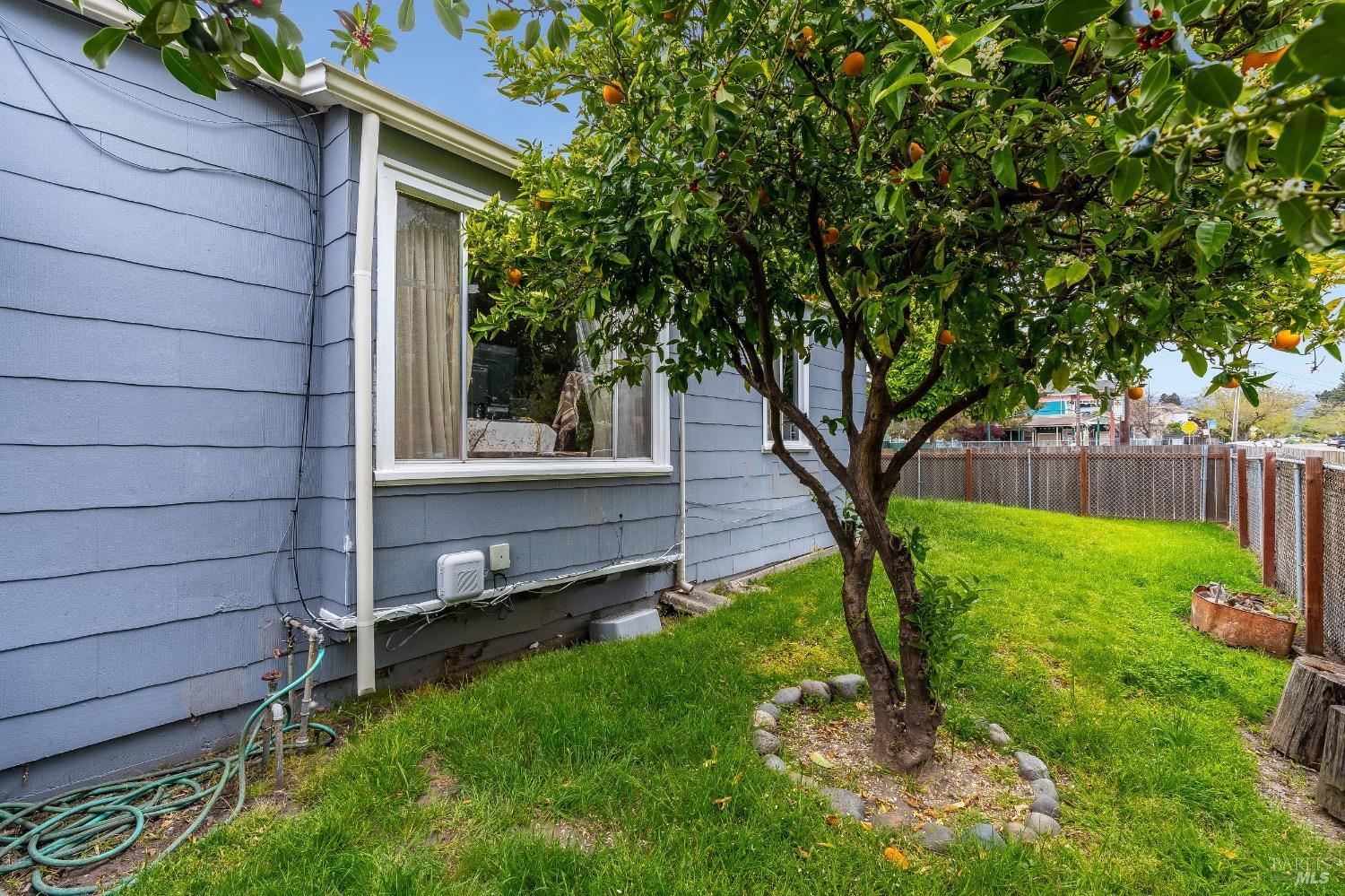 Detail Gallery Image 38 of 58 For 1445 Fairview St St, Berkeley,  CA 94702 - 0 Beds | 0 Baths