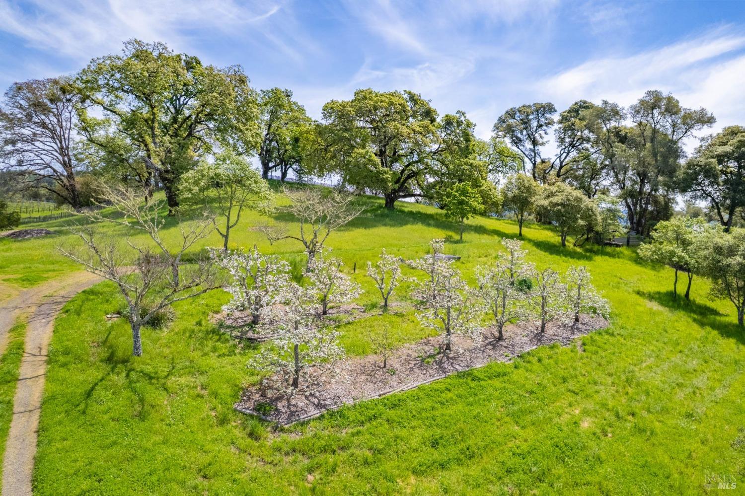 Detail Gallery Image 83 of 98 For 16121 Deer Meadows Rd, Boonville,  CA 95415 - 4 Beds | 3/1 Baths