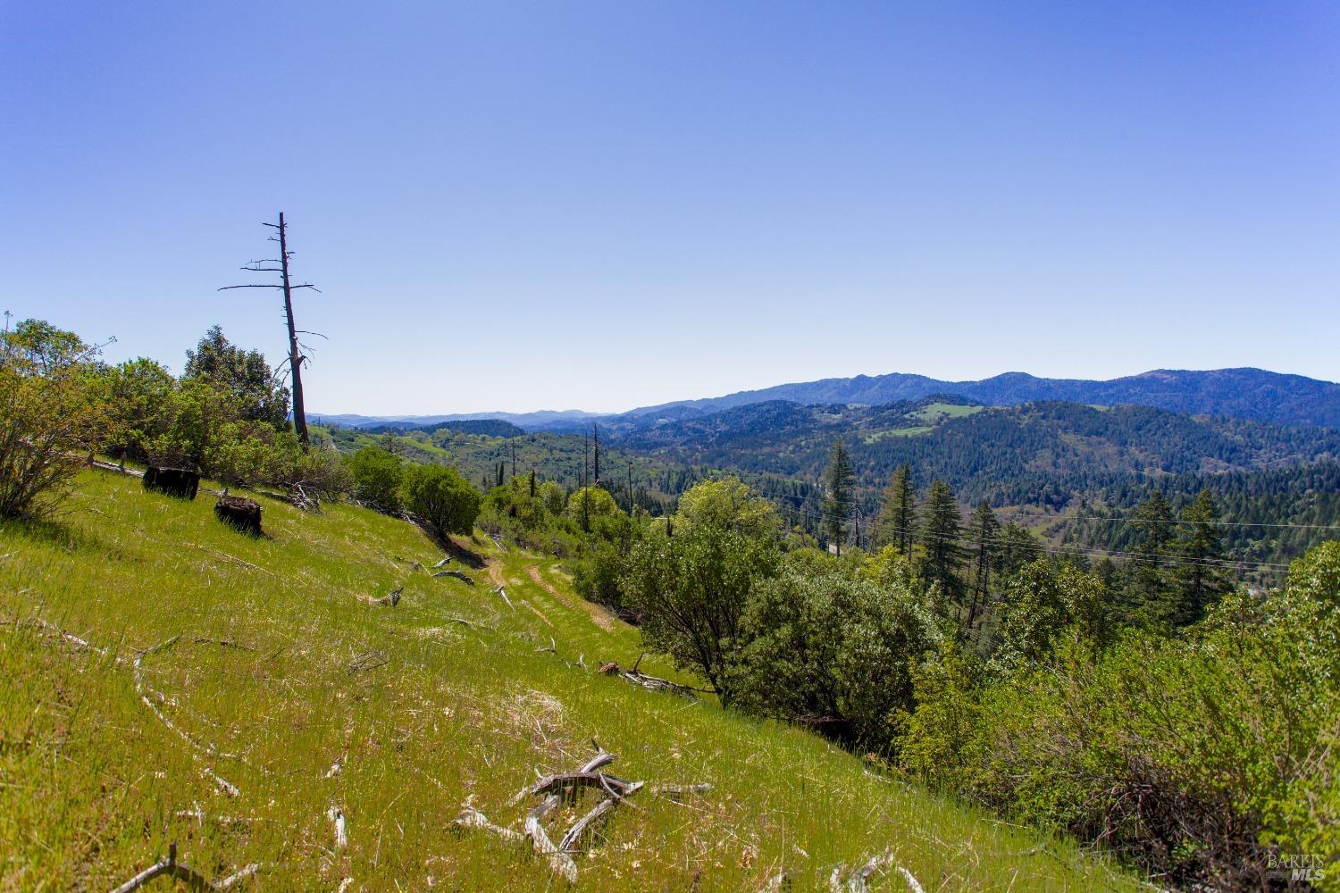 Detail Gallery Image 3 of 12 For 53310 N Highway 101 Hwy, Laytonville,  CA 95454 - – Beds | – Baths