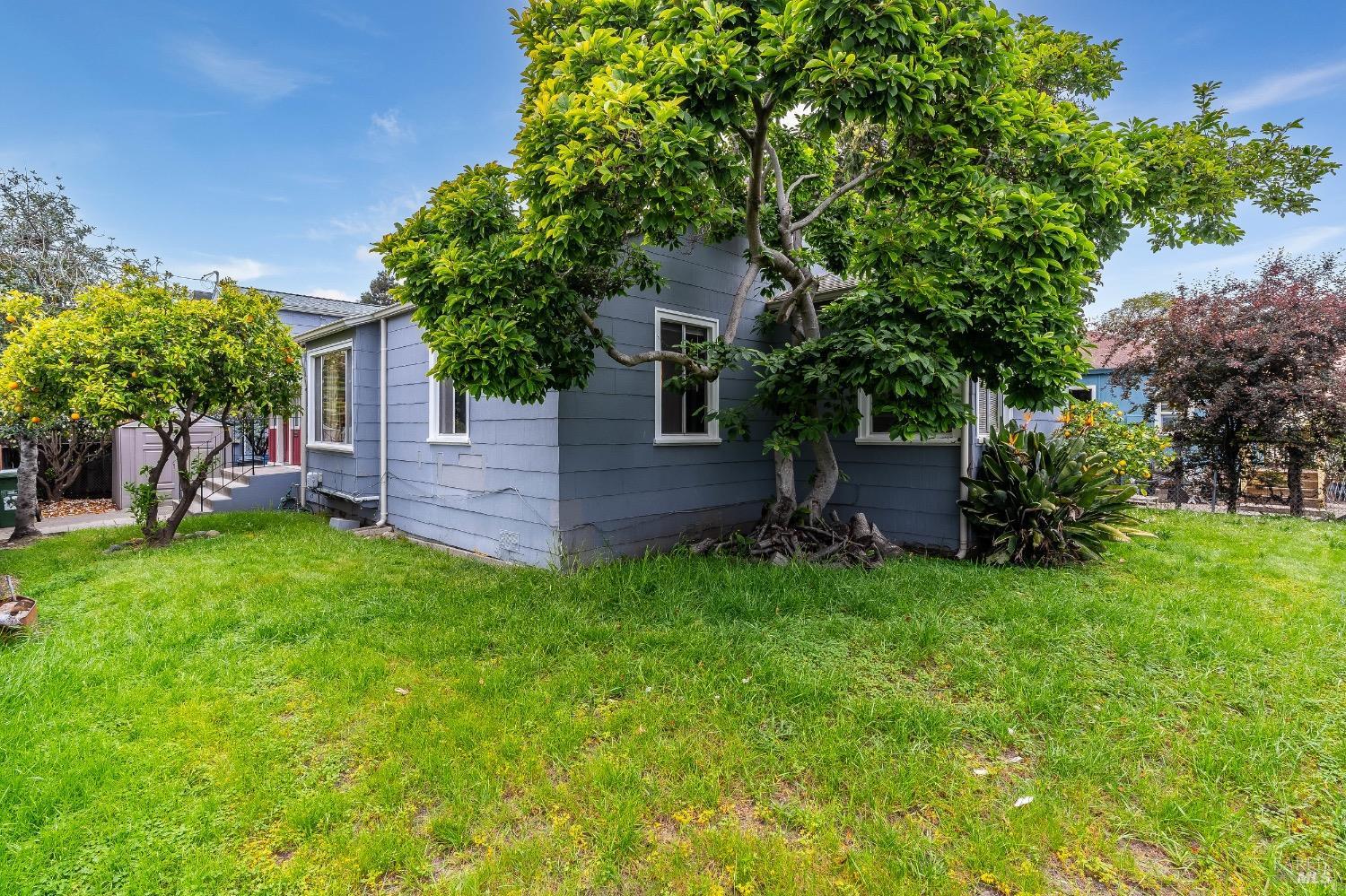 Detail Gallery Image 44 of 58 For 1445 Fairview St St, Berkeley,  CA 94702 - 0 Beds | 0 Baths