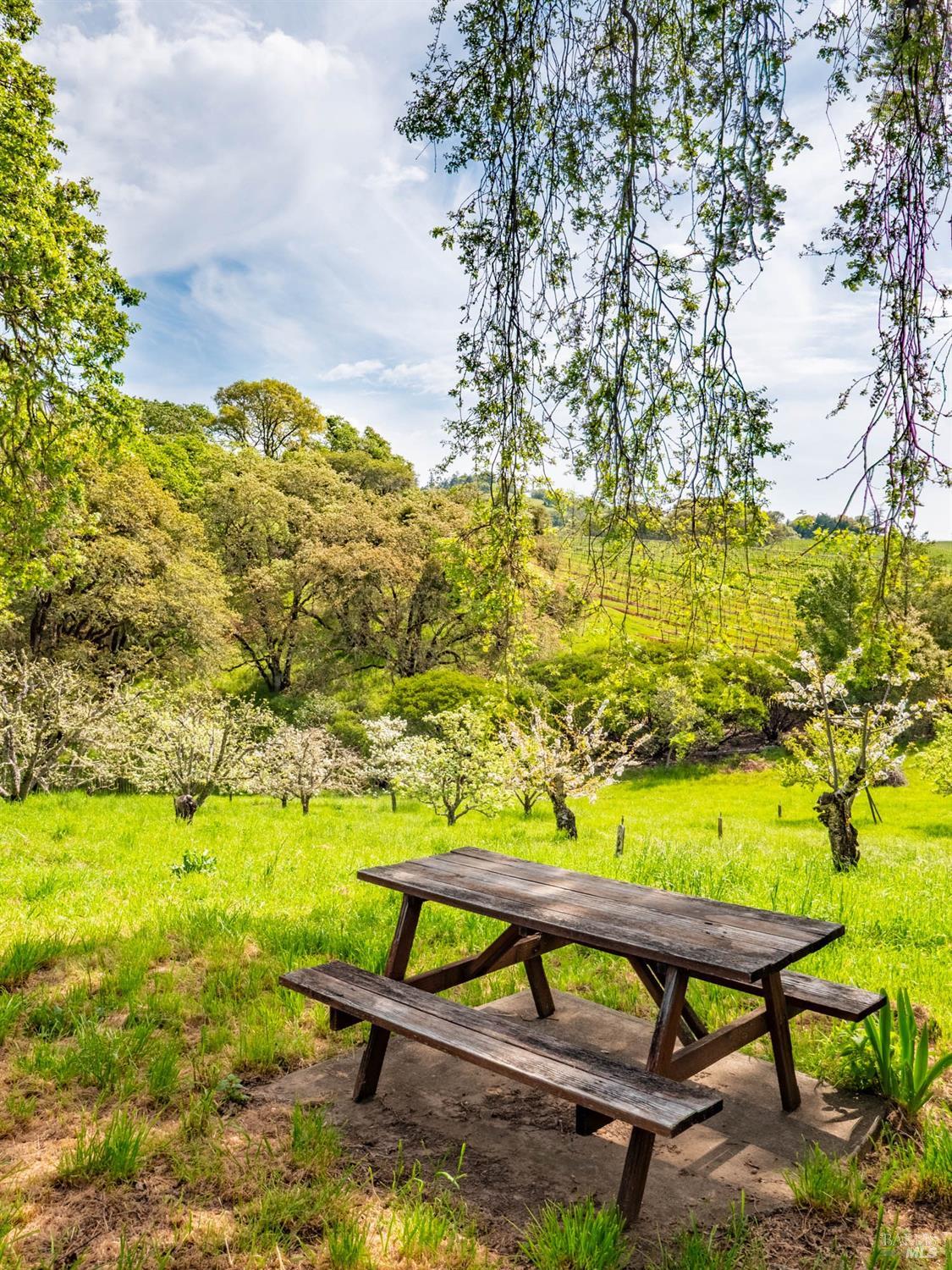 Detail Gallery Image 50 of 98 For 16121 Deer Meadows Rd, Boonville,  CA 95415 - 4 Beds | 3/1 Baths