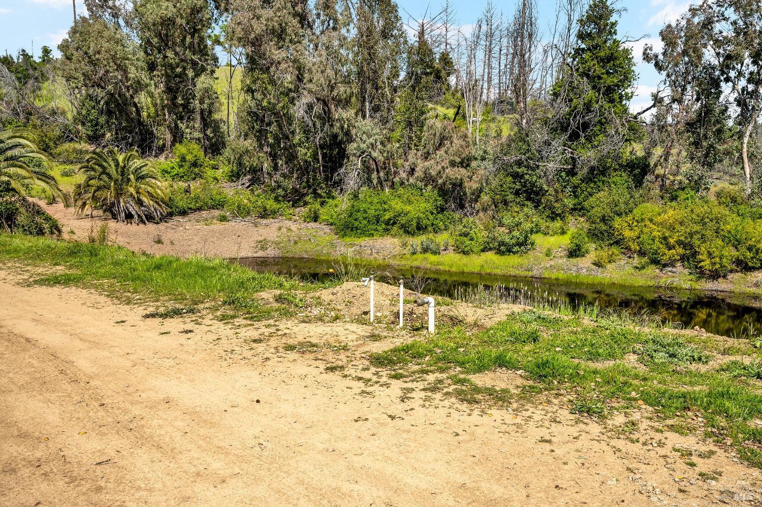 Detail Gallery Image 14 of 18 For 7777 Mill Creek Rd, Healdsburg,  CA 95448 - – Beds | – Baths
