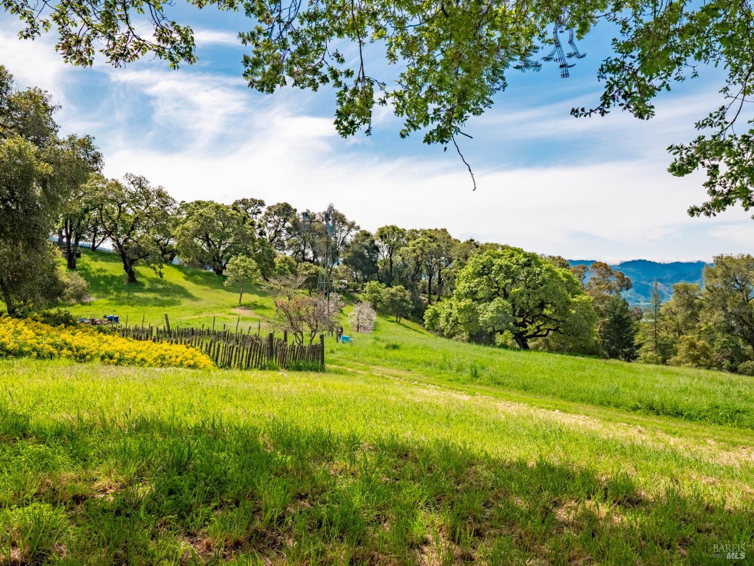 Detail Gallery Image 51 of 98 For 16121 Deer Meadows Rd, Boonville,  CA 95415 - 4 Beds | 3/1 Baths