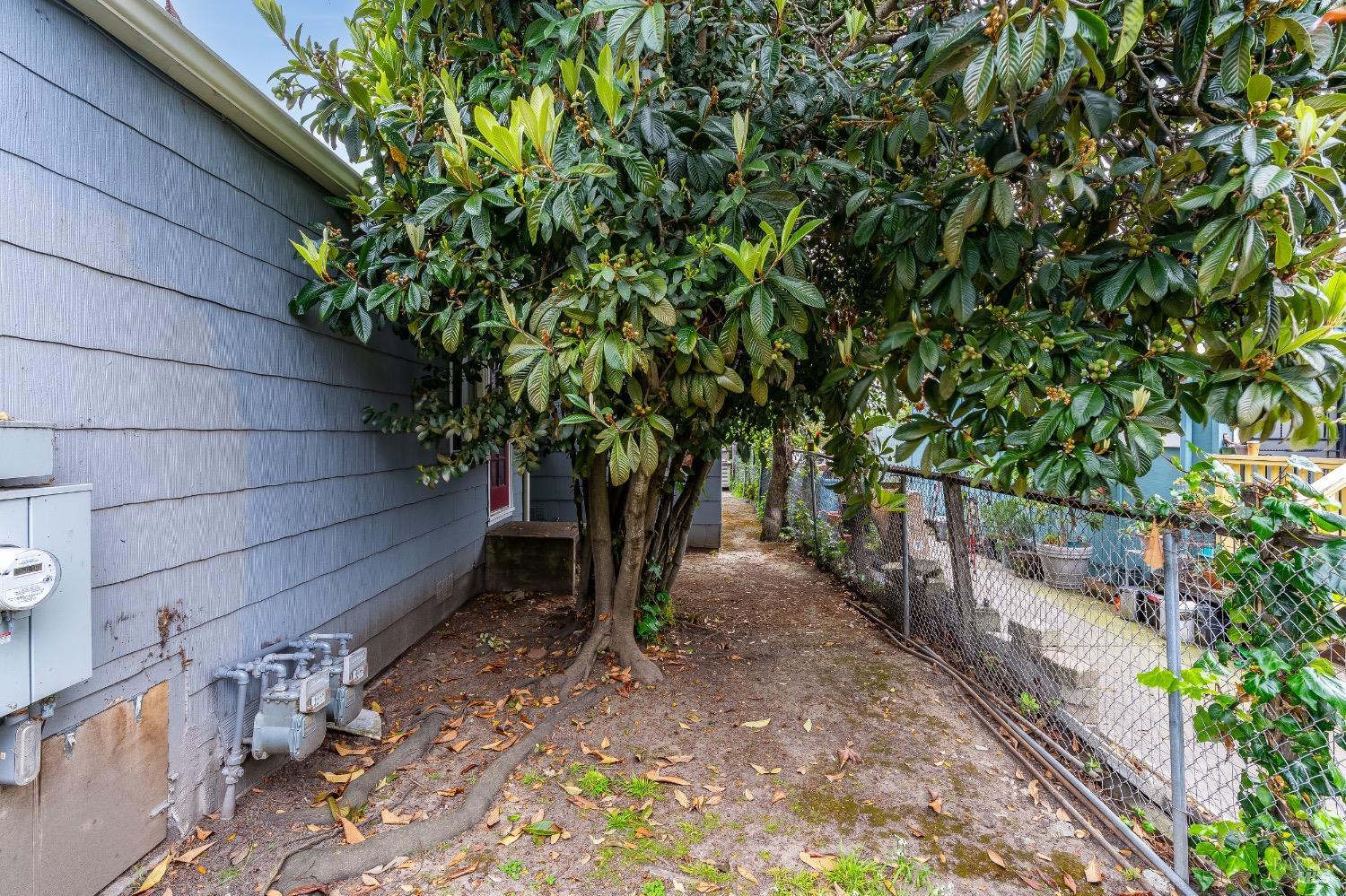 Detail Gallery Image 43 of 58 For 1445 Fairview St St, Berkeley,  CA 94702 - 0 Beds | 0 Baths