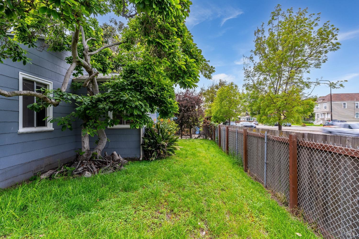 Detail Gallery Image 46 of 58 For 1445 Fairview St St, Berkeley,  CA 94702 - 0 Beds | 0 Baths