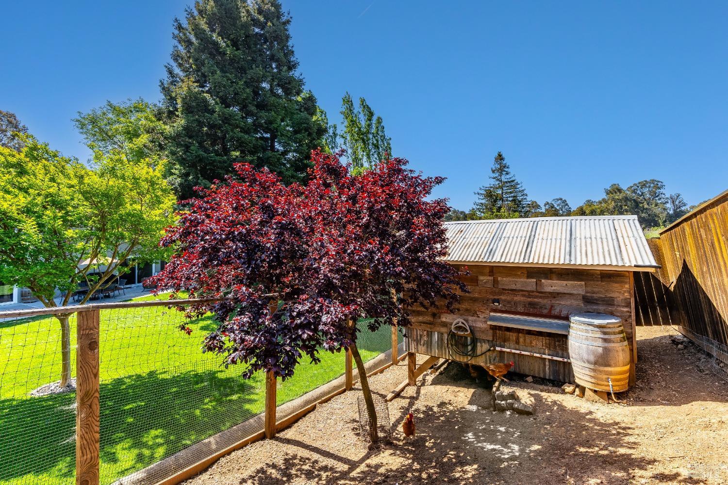 Detail Gallery Image 38 of 47 For 933 Rose Dr, Benicia,  CA 94510 - 3 Beds | 2/1 Baths