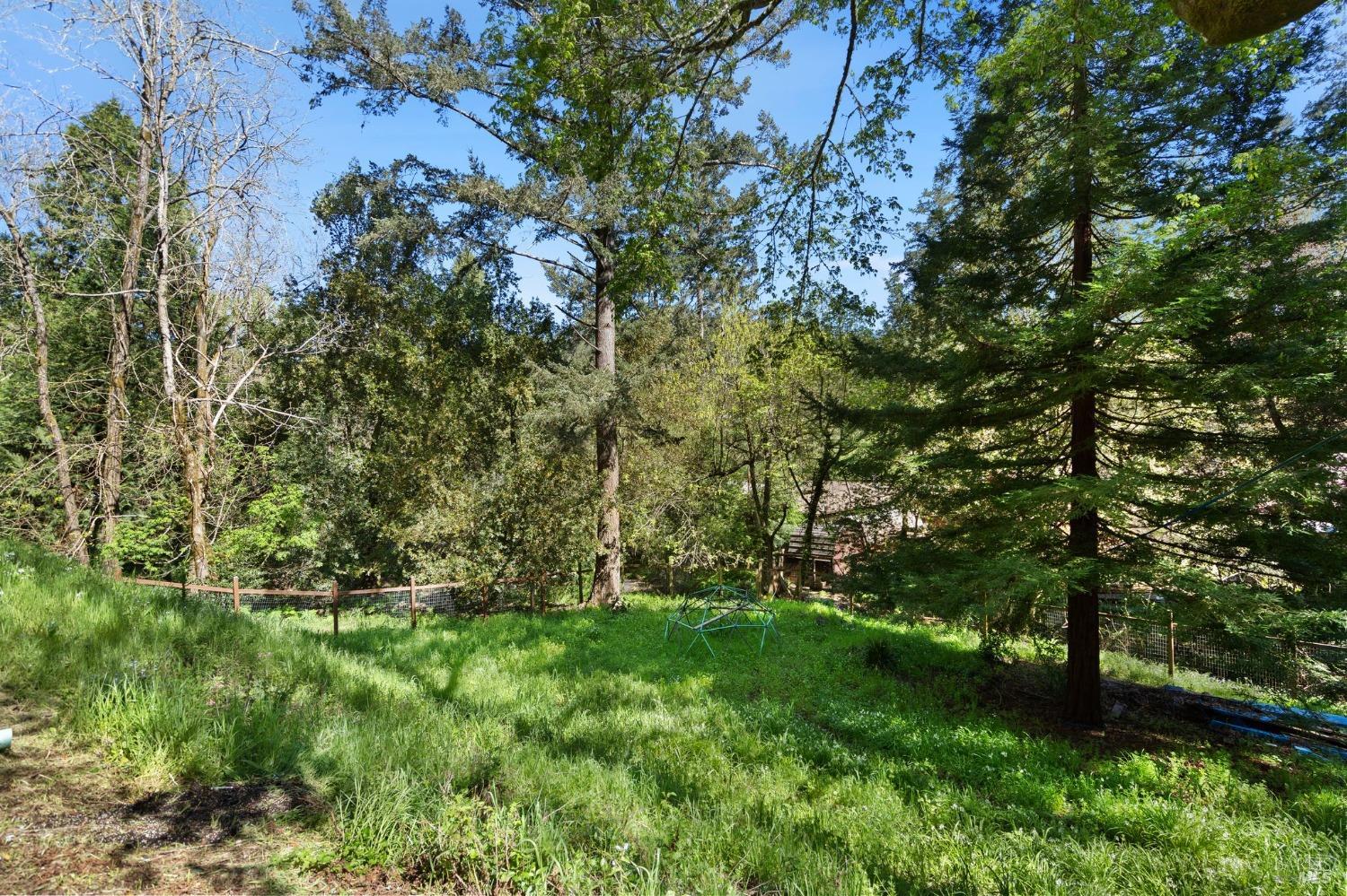 Detail Gallery Image 19 of 24 For 31 Aztec Ave, Forest Knolls,  CA 94933 - 2 Beds | 1 Baths