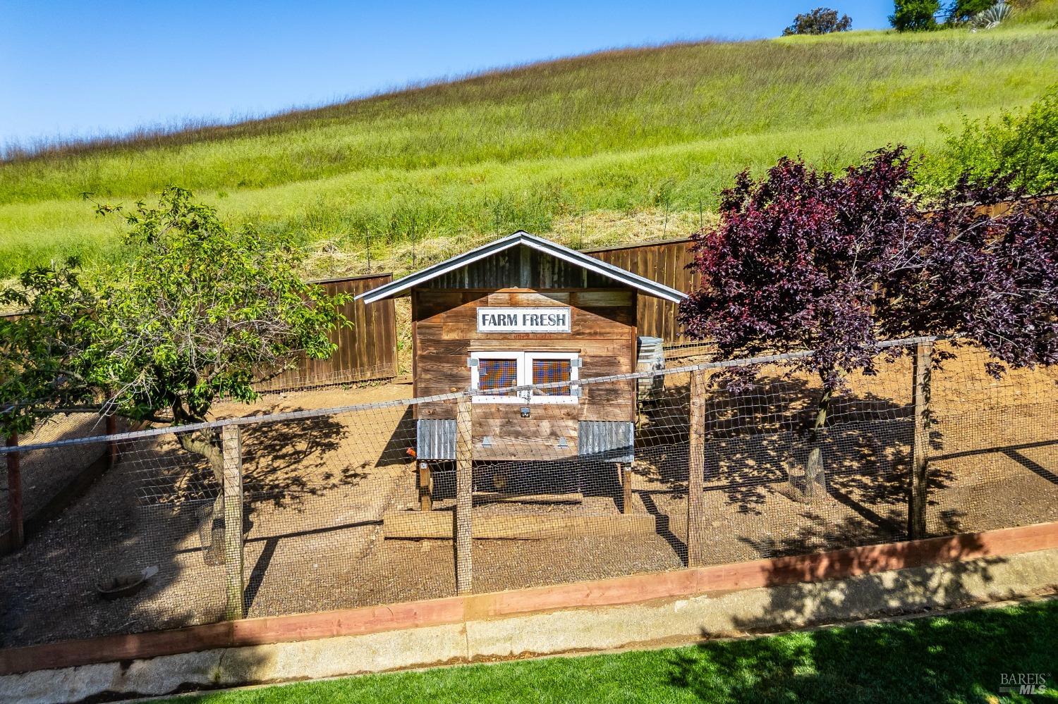 Detail Gallery Image 35 of 47 For 933 Rose Dr, Benicia,  CA 94510 - 3 Beds | 2/1 Baths