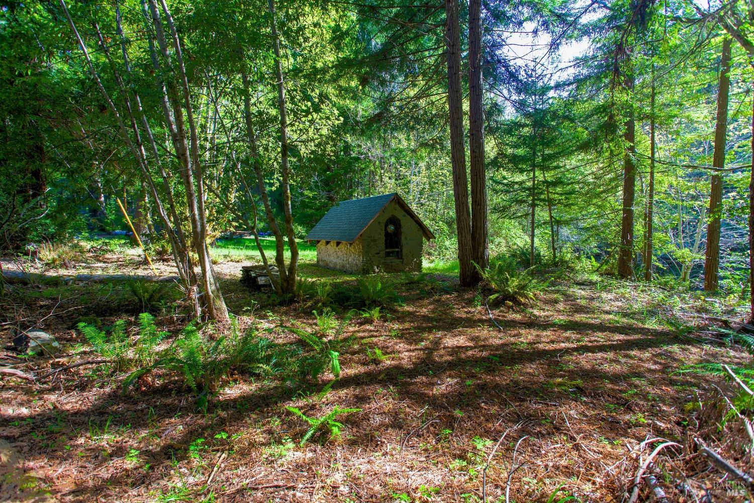 Detail Gallery Image 11 of 25 For 40050 Wilderness Lodge Rd, Branscomb,  CA 95417 - – Beds | – Baths