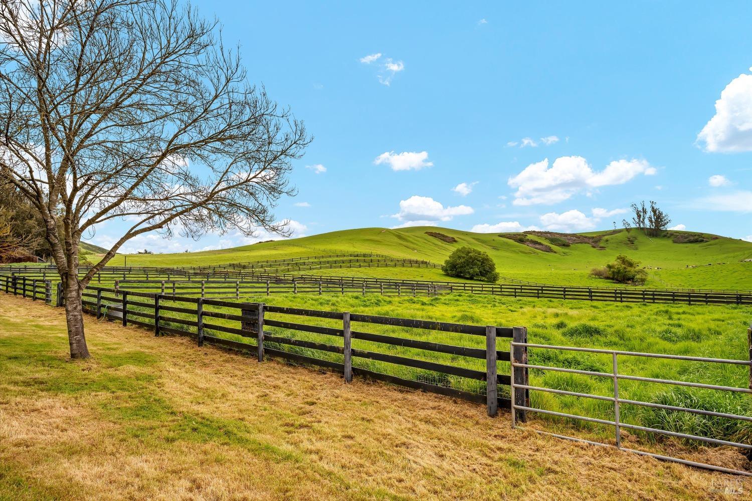 Detail Gallery Image 25 of 93 For 5000 Carroll Rd, Petaluma,  CA 94952 - 6 Beds | 5 Baths