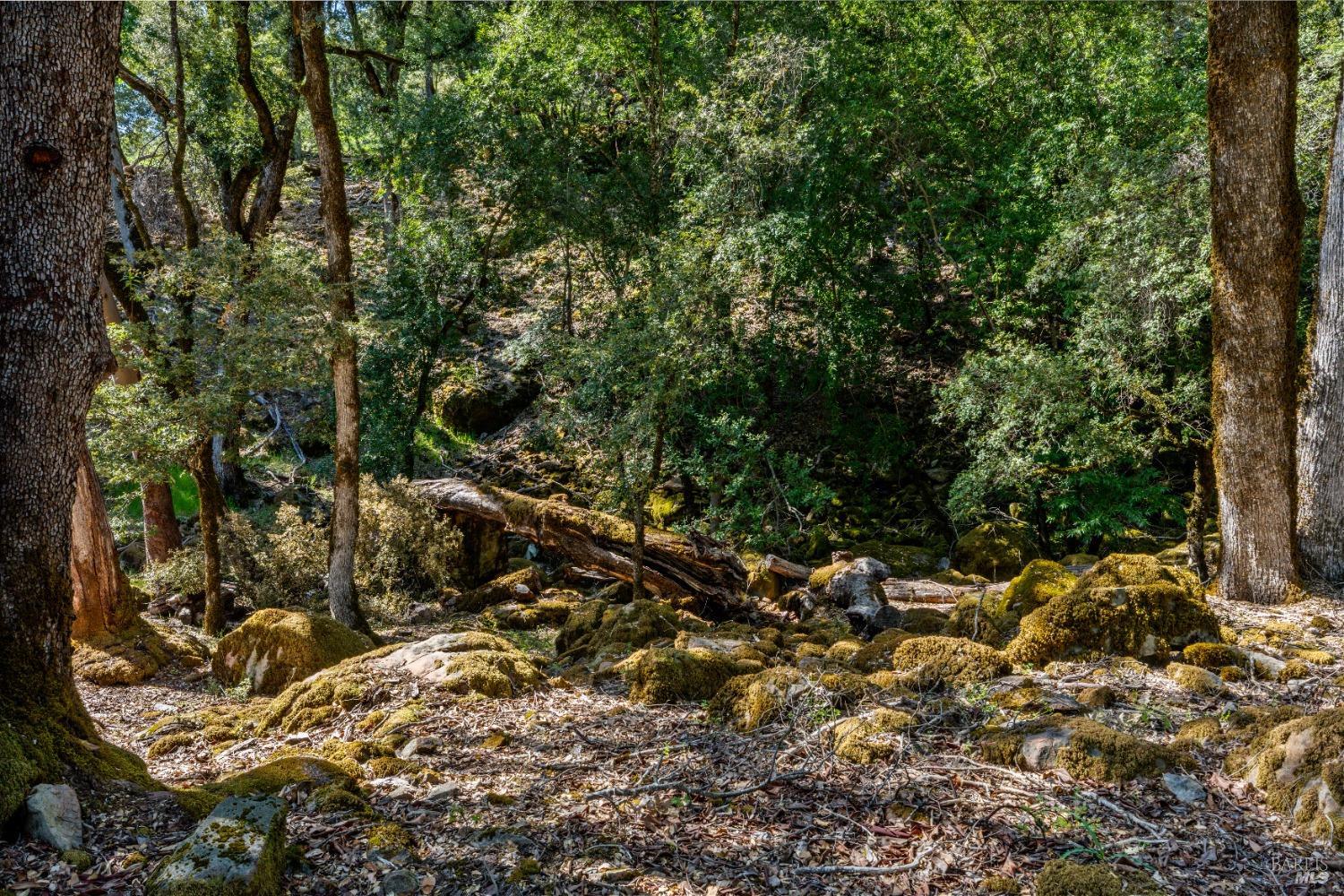 Detail Gallery Image 45 of 56 For 3400 Mcnab Ranch Rd, Ukiah,  CA 95482 - 3 Beds | 2 Baths