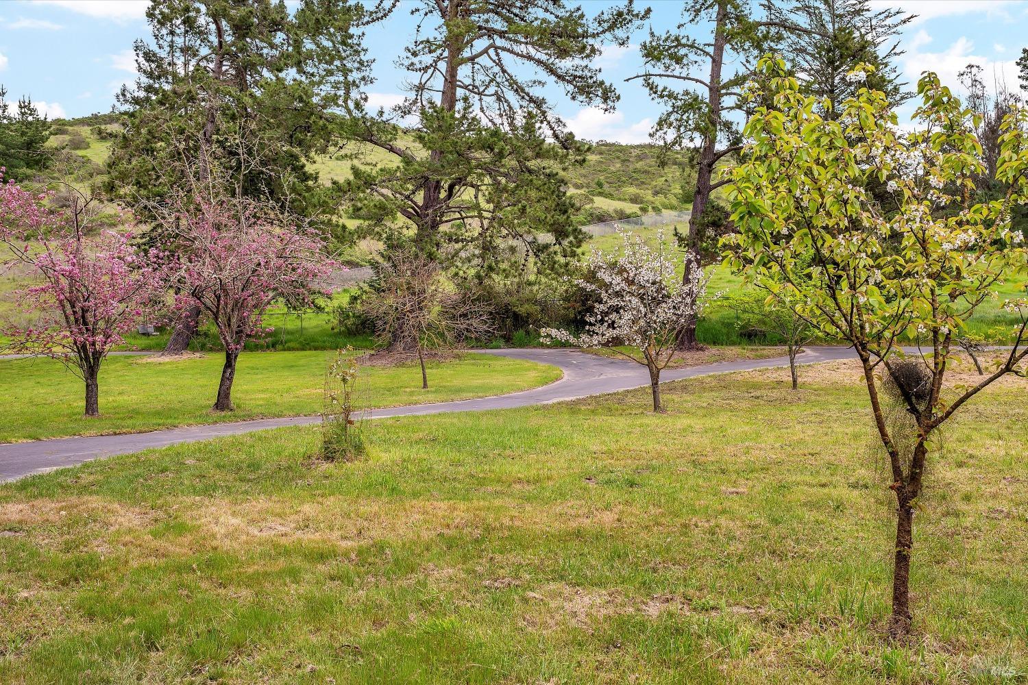 Detail Gallery Image 12 of 93 For 5000 Carroll Rd, Petaluma,  CA 94952 - 6 Beds | 5 Baths