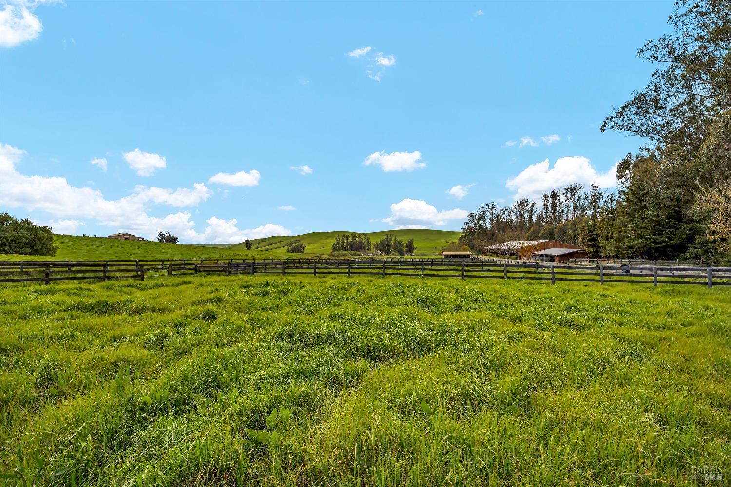 Detail Gallery Image 24 of 93 For 5000 Carroll Rd, Petaluma,  CA 94952 - 6 Beds | 5 Baths