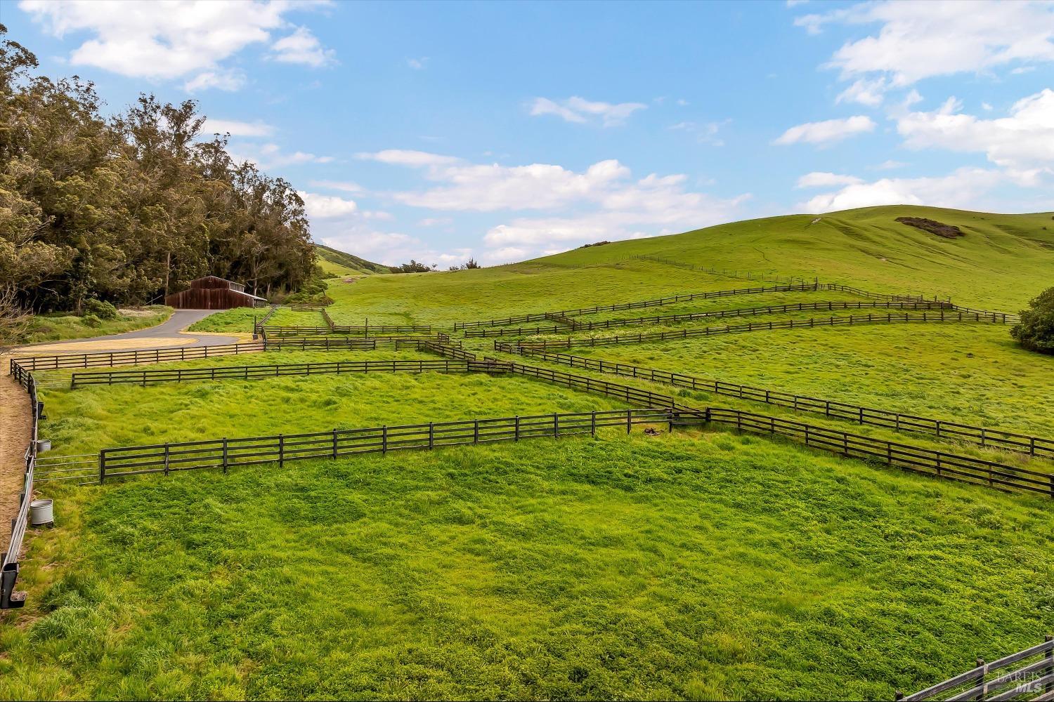 Detail Gallery Image 34 of 93 For 5000 Carroll Rd, Petaluma,  CA 94952 - 6 Beds | 5 Baths