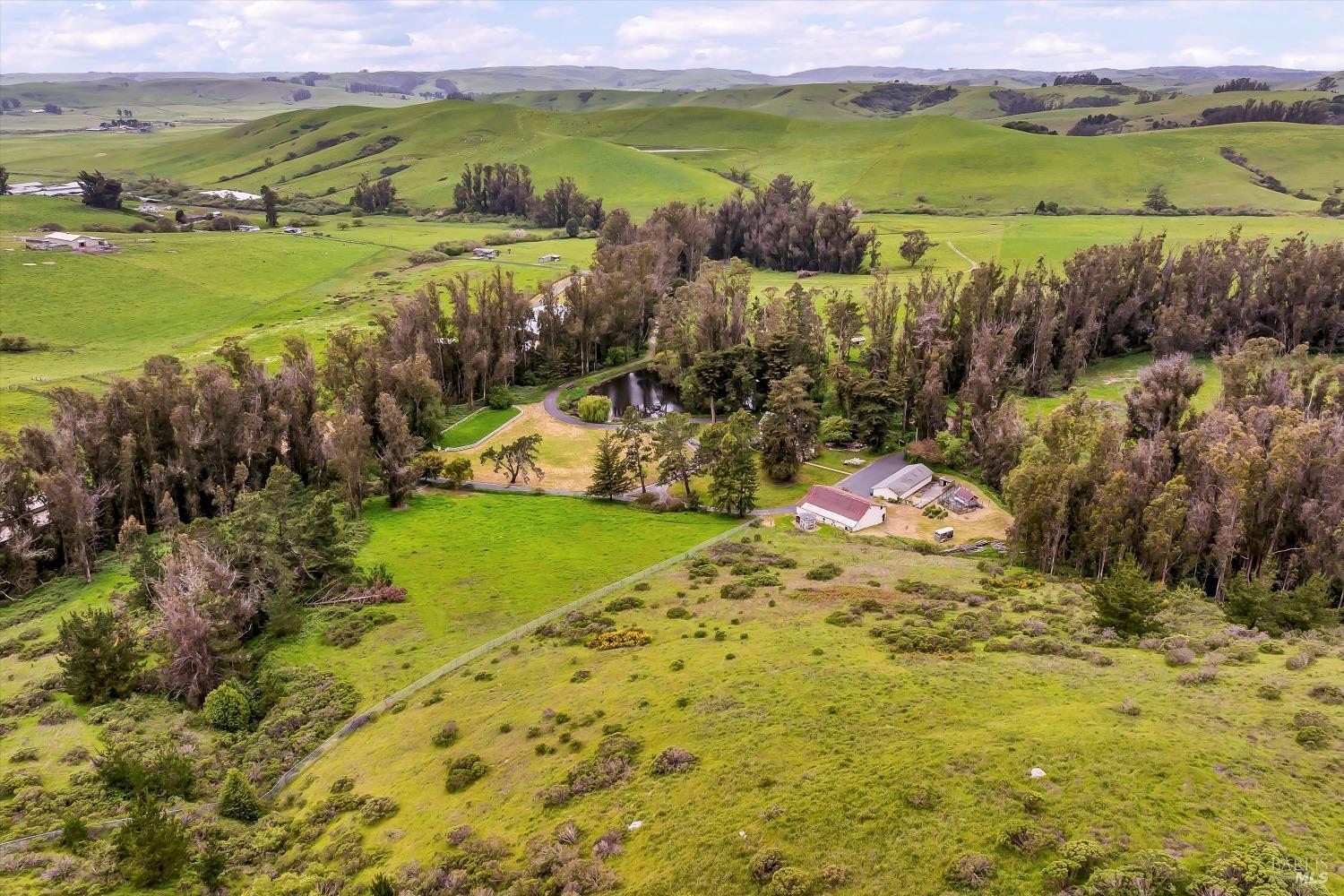 Detail Gallery Image 30 of 93 For 5000 Carroll Rd, Petaluma,  CA 94952 - 6 Beds | 5 Baths
