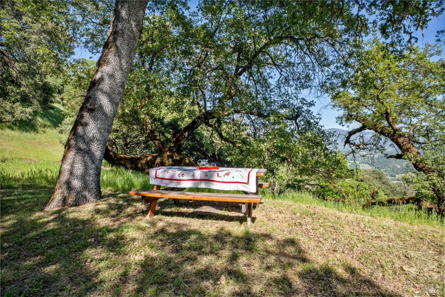 Detail Gallery Image 48 of 56 For 3400 Mcnab Ranch Rd, Ukiah,  CA 95482 - 3 Beds | 2 Baths