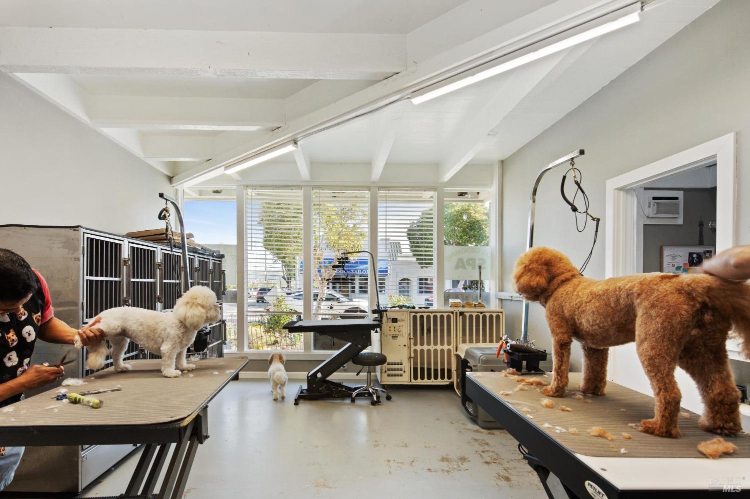 Detail Gallery Image 16 of 33 For 219 Caledonia St, Sausalito,  CA 94965 - – Beds | – Baths