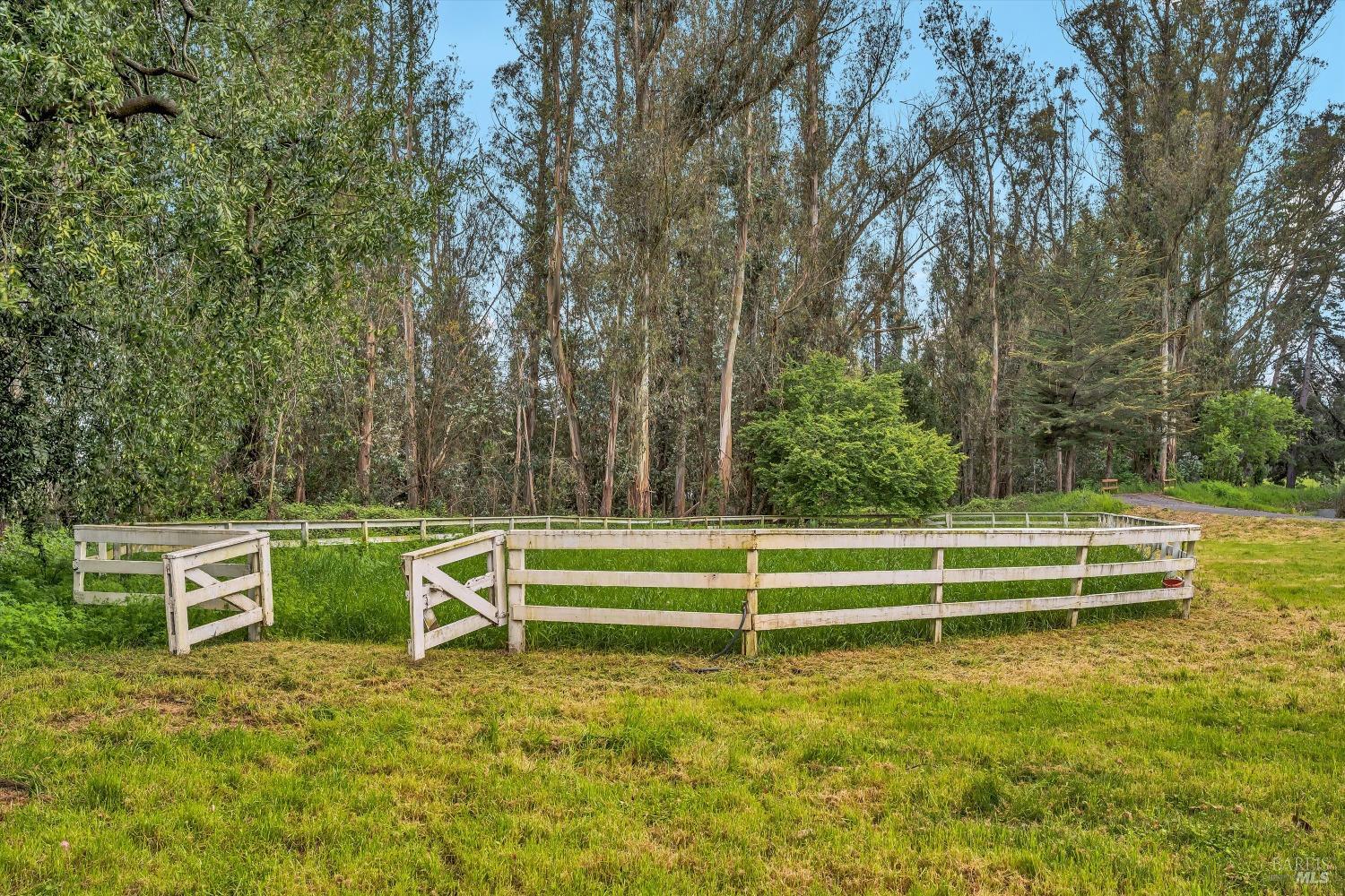 Detail Gallery Image 18 of 93 For 5000 Carroll Rd, Petaluma,  CA 94952 - 6 Beds | 5 Baths
