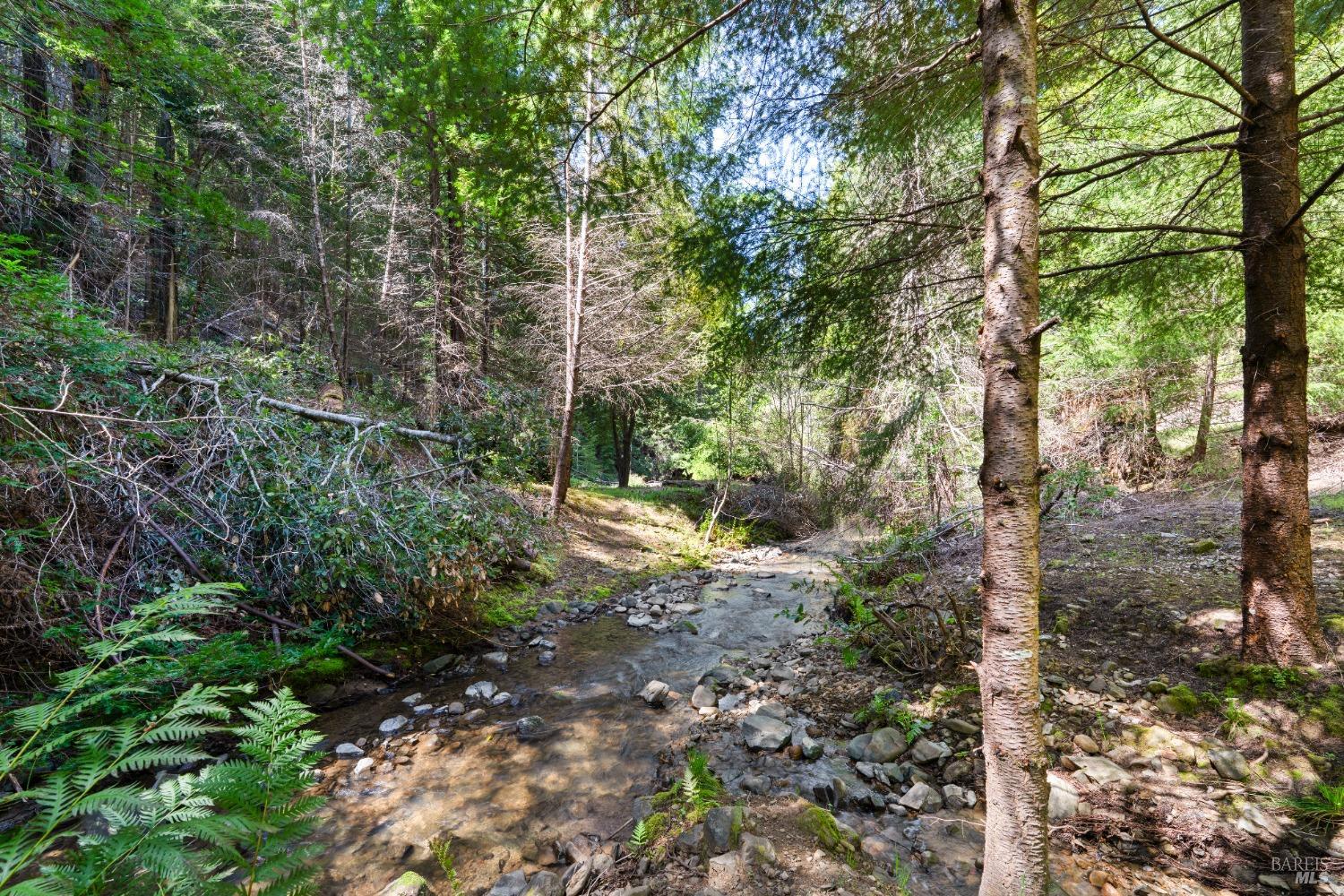 Detail Gallery Image 41 of 43 For 9655 Peachland Rd, Boonville,  CA 95415 - 4 Beds | 4 Baths