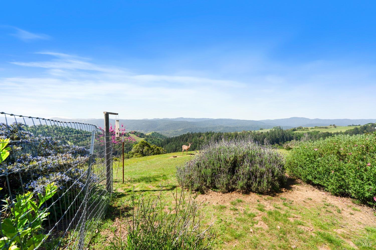Detail Gallery Image 23 of 43 For 9655 Peachland Rd, Boonville,  CA 95415 - 4 Beds | 4 Baths