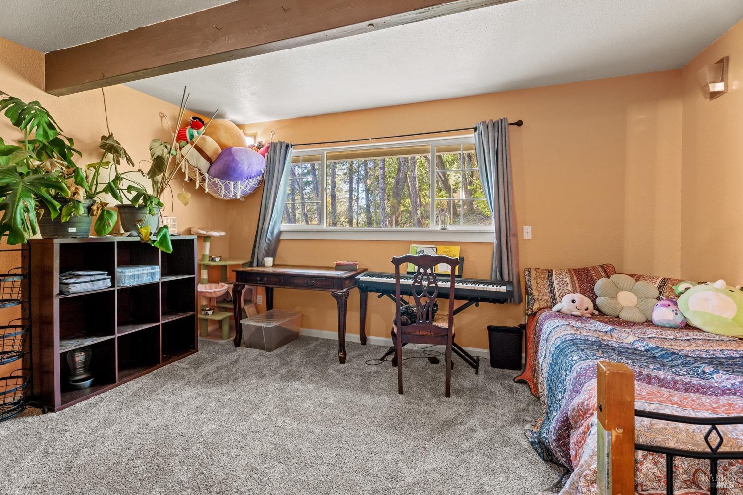 Detail Gallery Image 12 of 24 For 2006 Lupine Dr, Willits,  CA 95490 - 3 Beds | 1/1 Baths