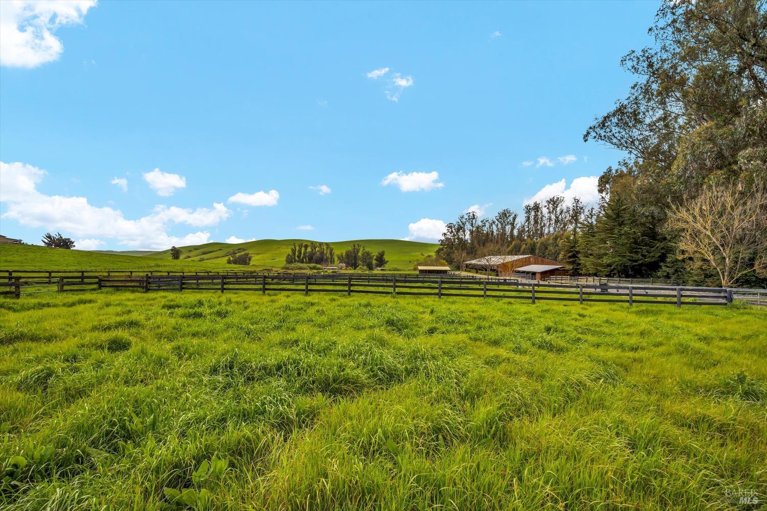 Detail Gallery Image 23 of 93 For 5000 Carroll Rd, Petaluma,  CA 94952 - 6 Beds | 5 Baths