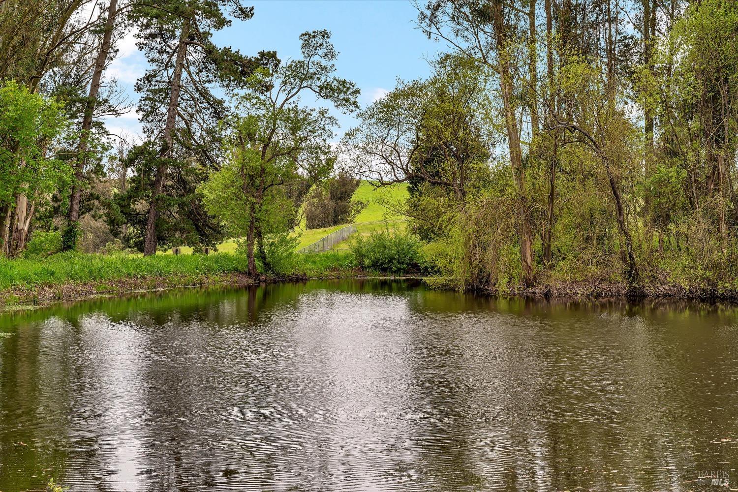 Detail Gallery Image 4 of 93 For 5000 Carroll Rd, Petaluma,  CA 94952 - 6 Beds | 5 Baths