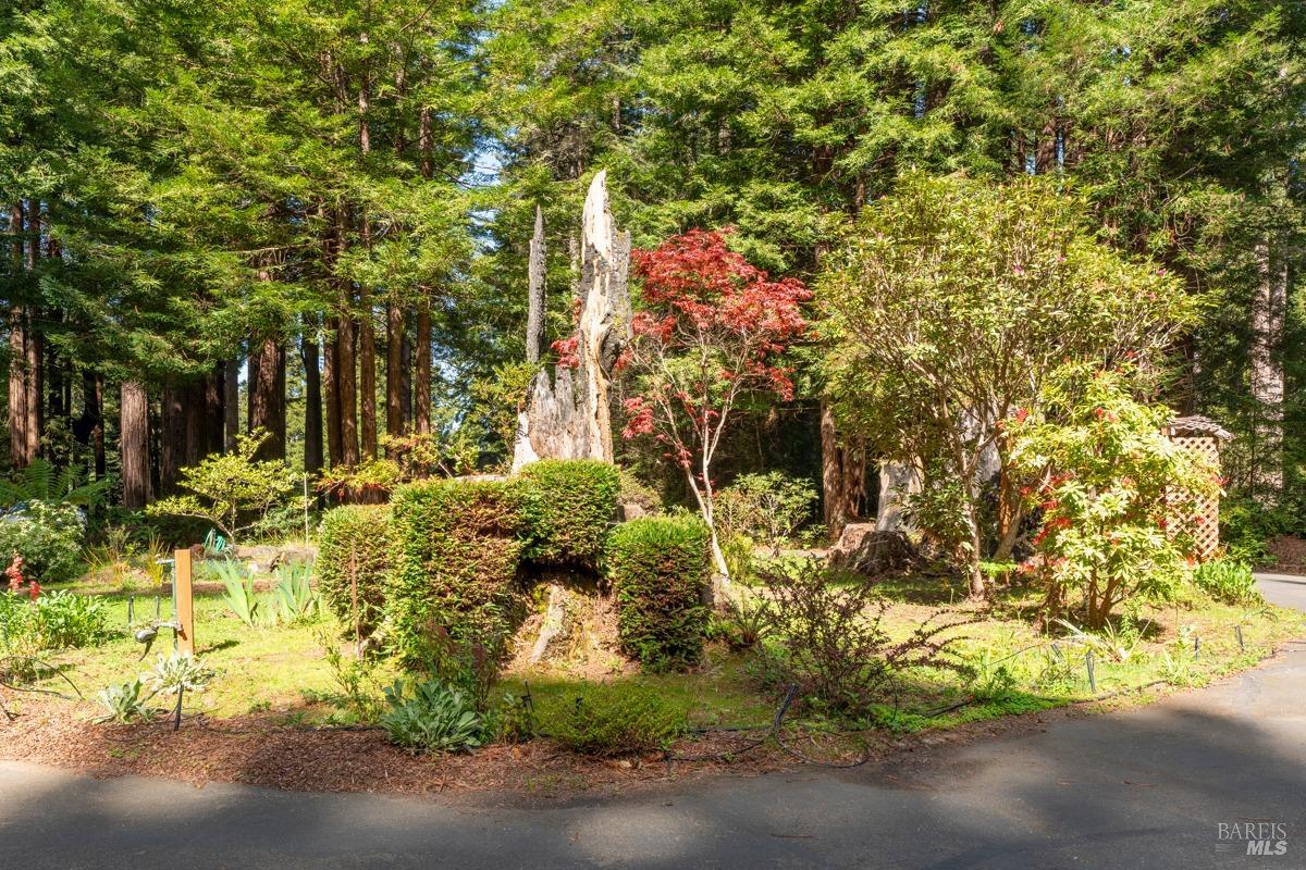 Detail Gallery Image 20 of 37 For 12141 Pinewood Rd, Mendocino,  CA 95460 - 3 Beds | 2 Baths