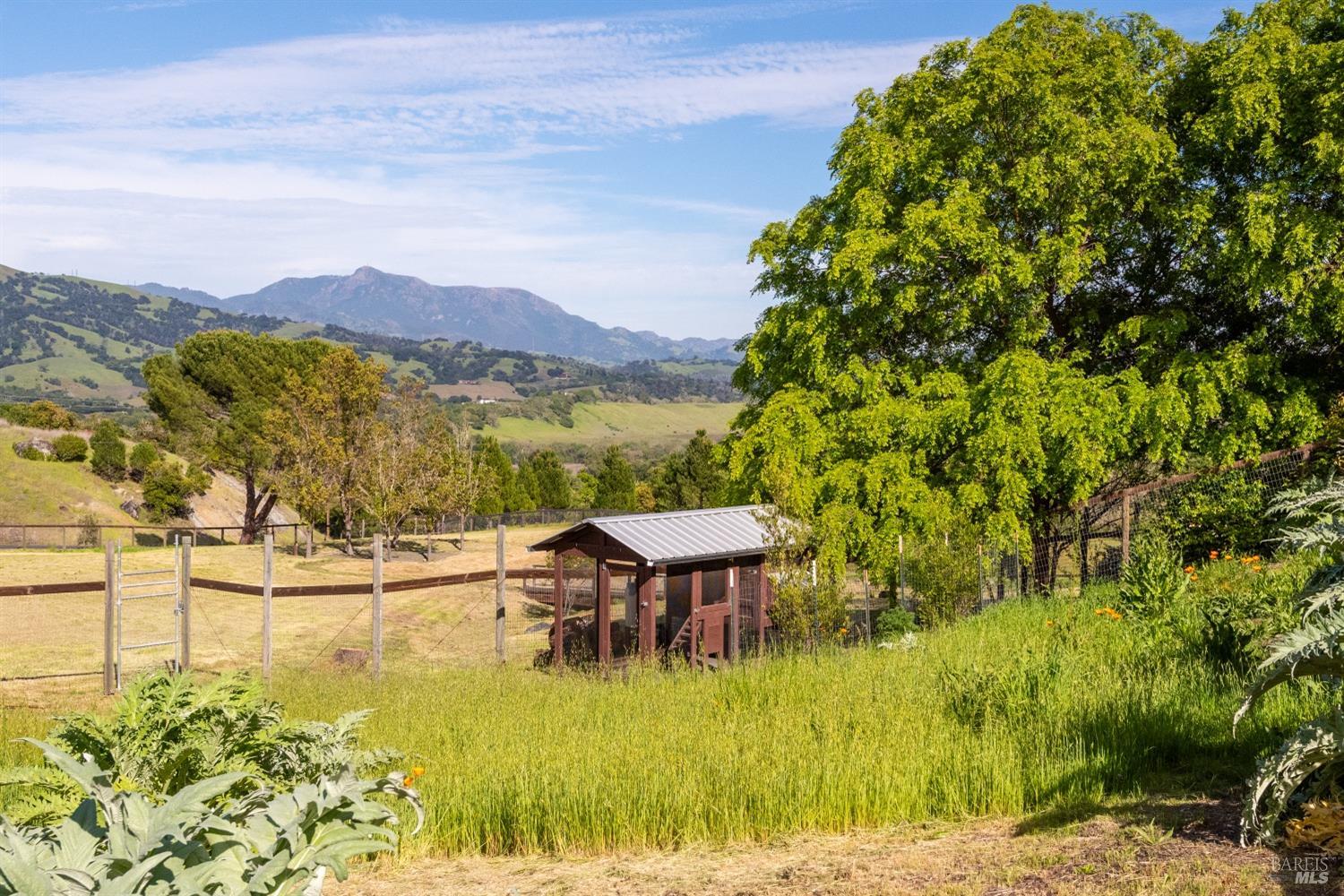 Detail Gallery Image 78 of 96 For 4030 Old Barn Rd, Healdsburg,  CA 95448 - 4 Beds | 5/1 Baths