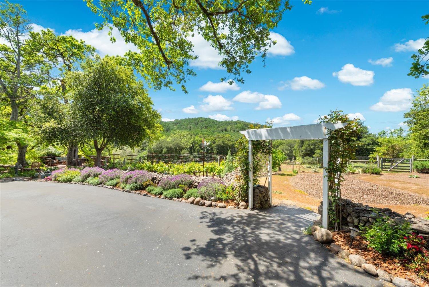 Detail Gallery Image 31 of 88 For 2297 1st Ave, Napa,  CA 94558 - 3 Beds | 3 Baths