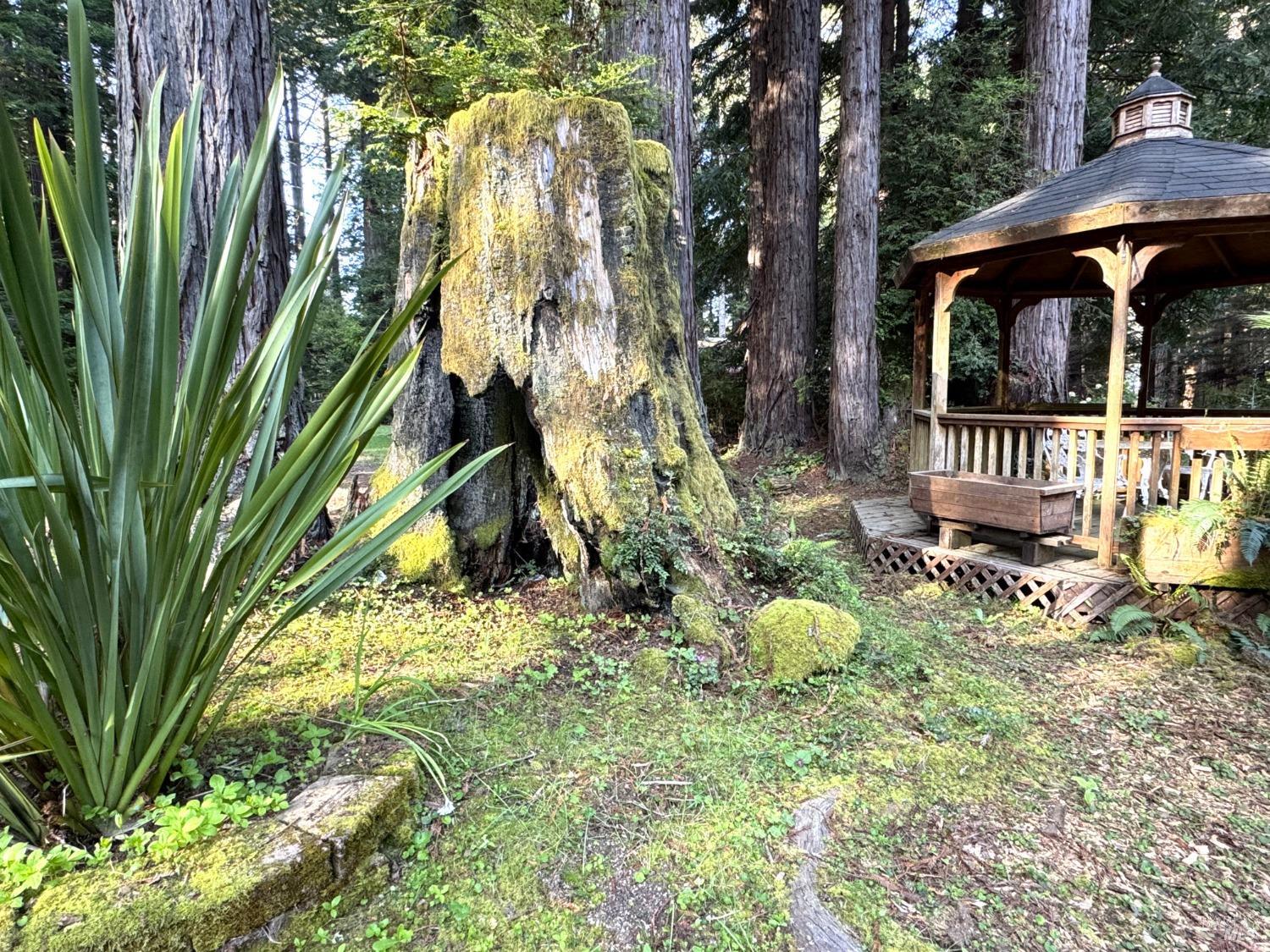 Detail Gallery Image 22 of 37 For 12141 Pinewood Rd, Mendocino,  CA 95460 - 3 Beds | 2 Baths
