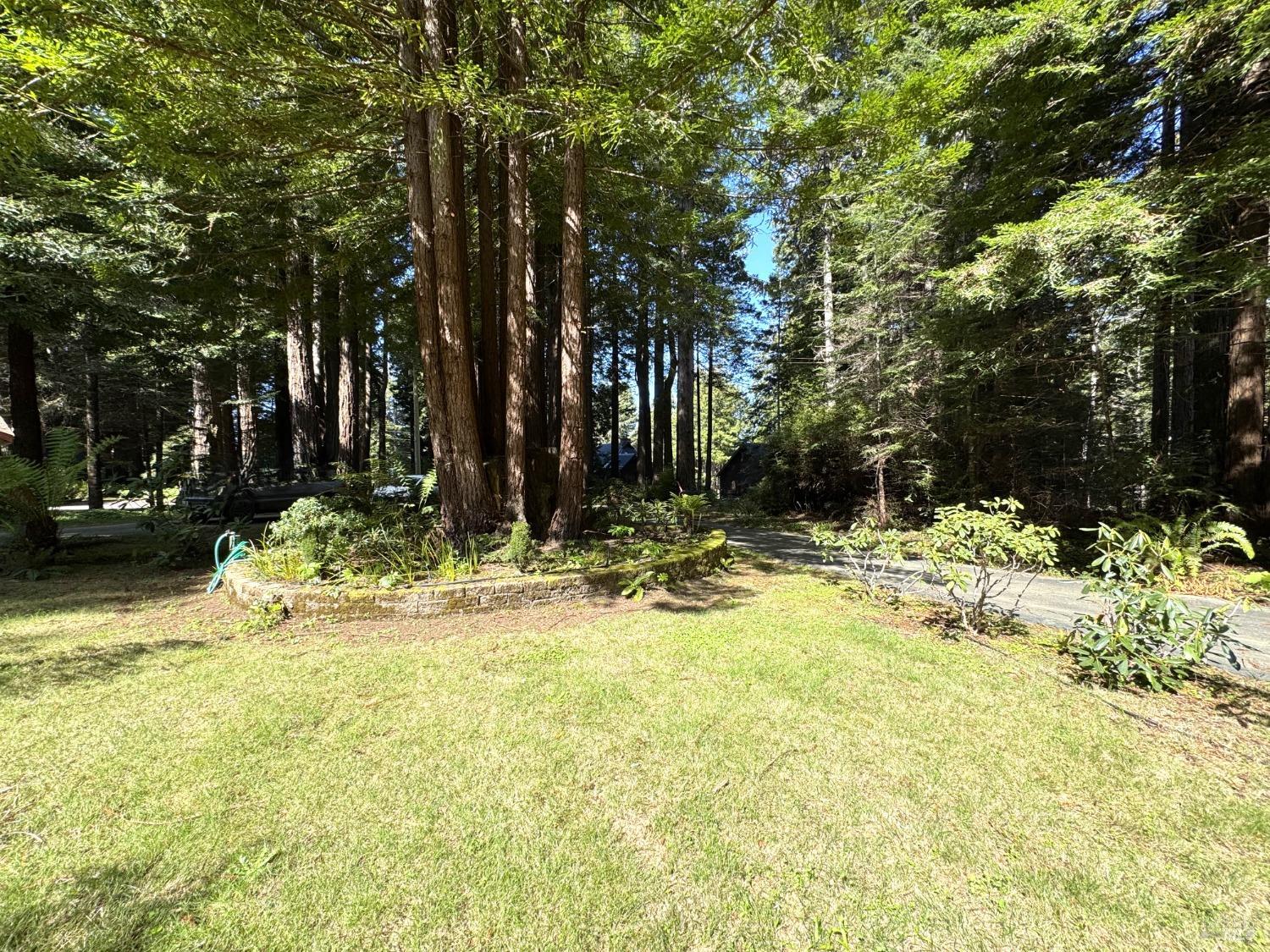 Detail Gallery Image 33 of 37 For 12141 Pinewood Rd, Mendocino,  CA 95460 - 3 Beds | 2 Baths
