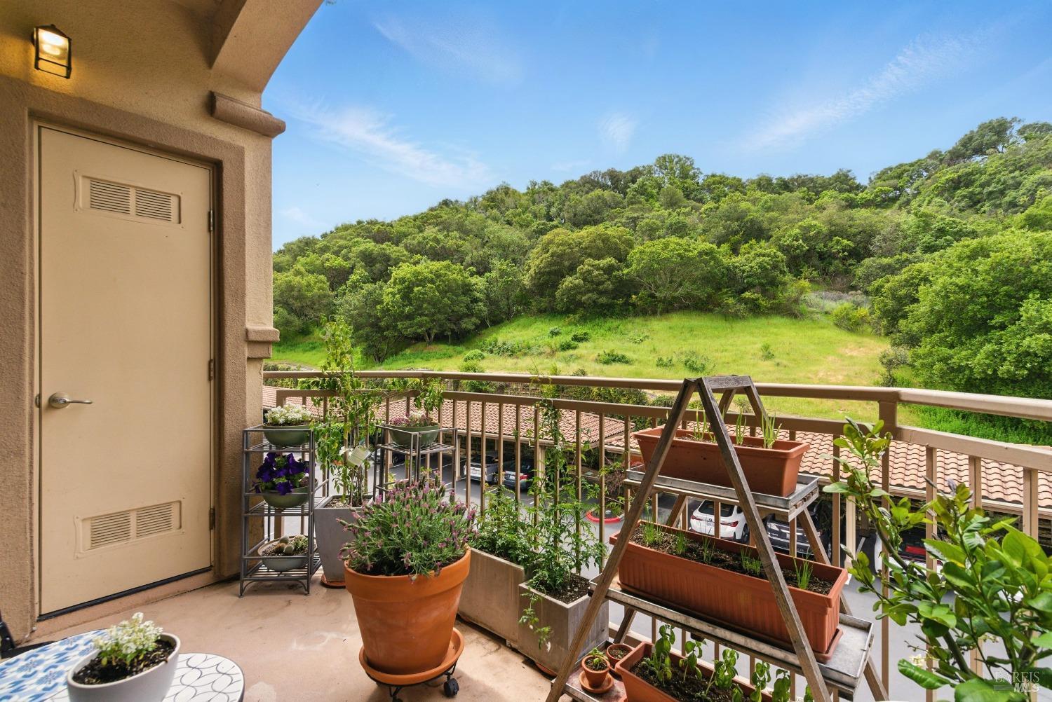 Detail Gallery Image 13 of 39 For 401 North Ave #310,  San Rafael,  CA 94903 - 1 Beds | 1 Baths