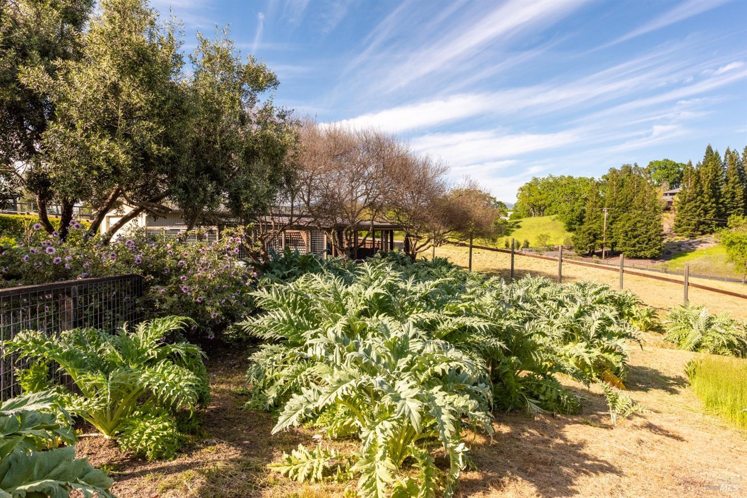 Detail Gallery Image 80 of 96 For 4030 Old Barn Rd, Healdsburg,  CA 95448 - 4 Beds | 5/1 Baths