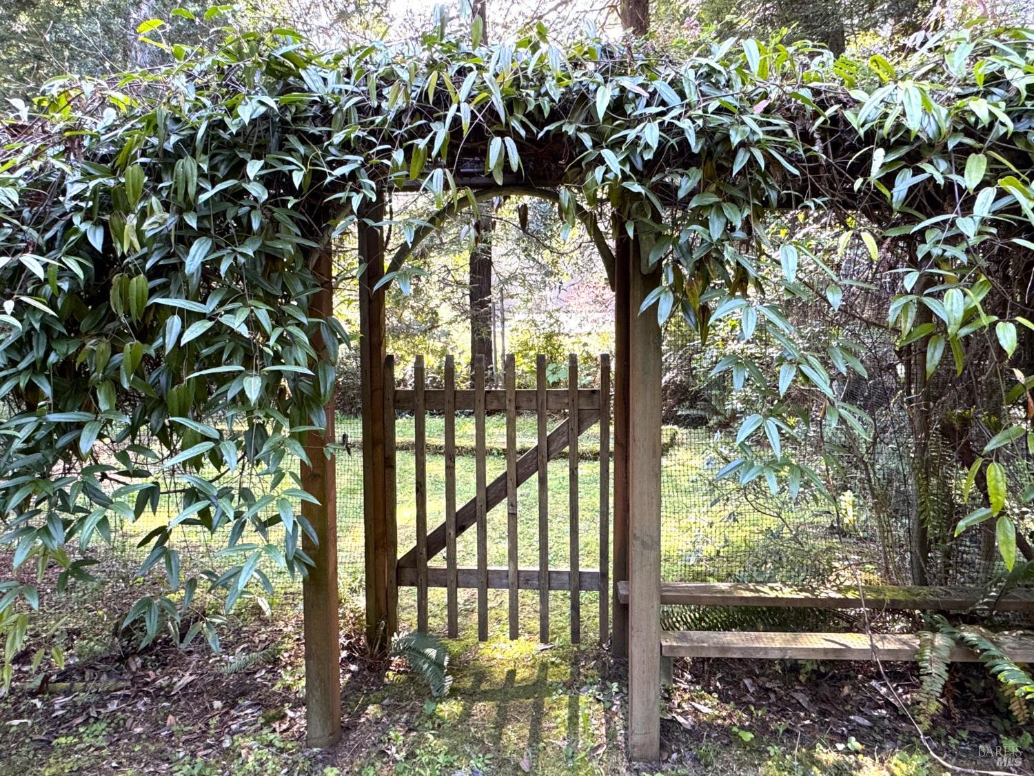 Detail Gallery Image 25 of 37 For 12141 Pinewood Rd, Mendocino,  CA 95460 - 3 Beds | 2 Baths