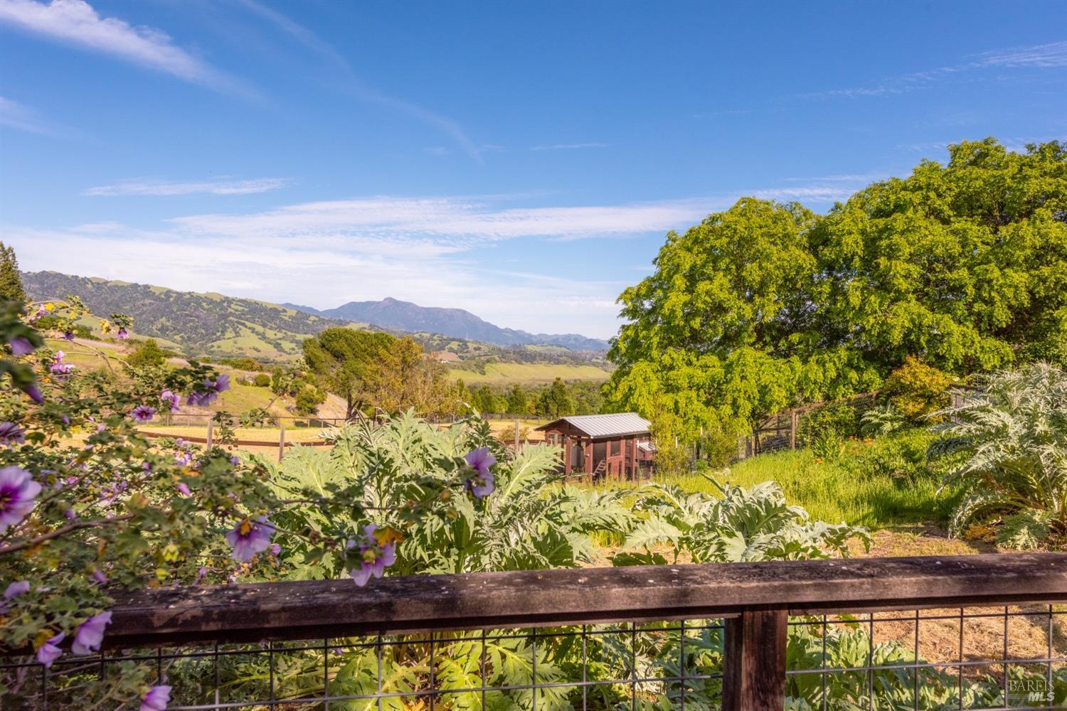 Detail Gallery Image 79 of 96 For 4030 Old Barn Rd, Healdsburg,  CA 95448 - 4 Beds | 5/1 Baths