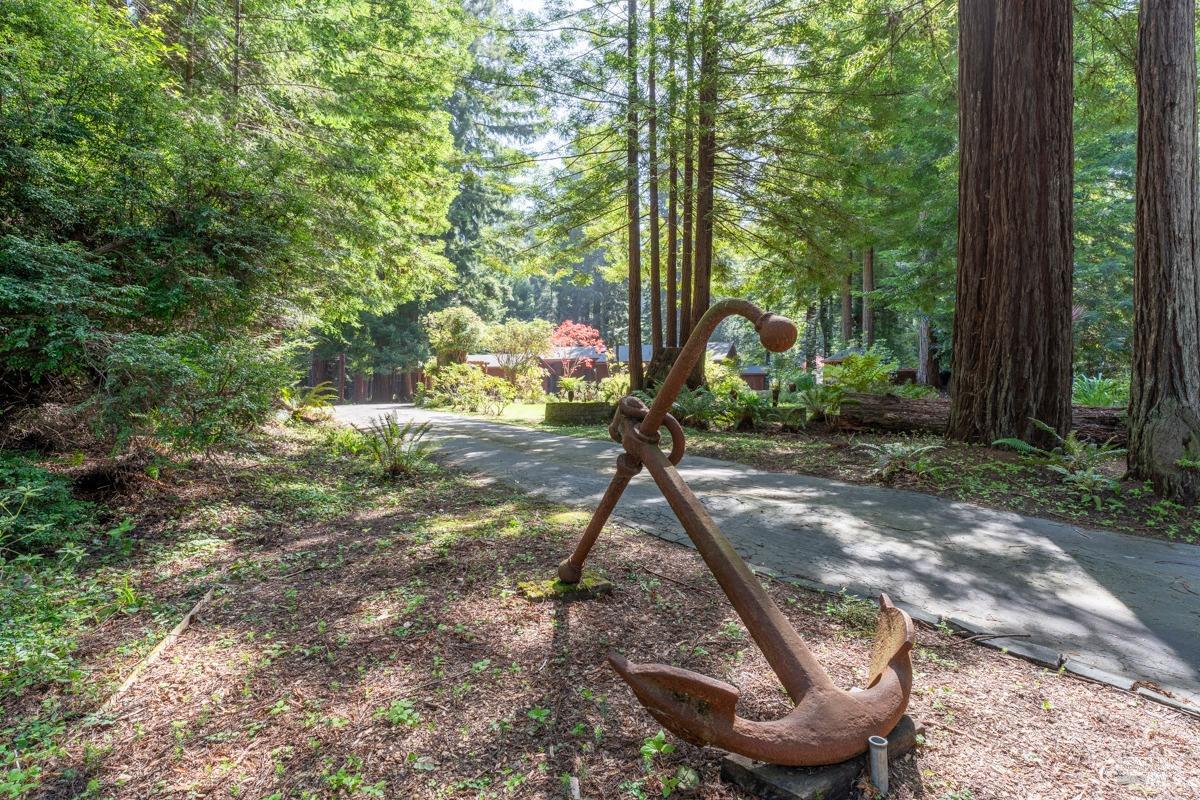 Detail Gallery Image 34 of 37 For 12141 Pinewood Rd, Mendocino,  CA 95460 - 3 Beds | 2 Baths