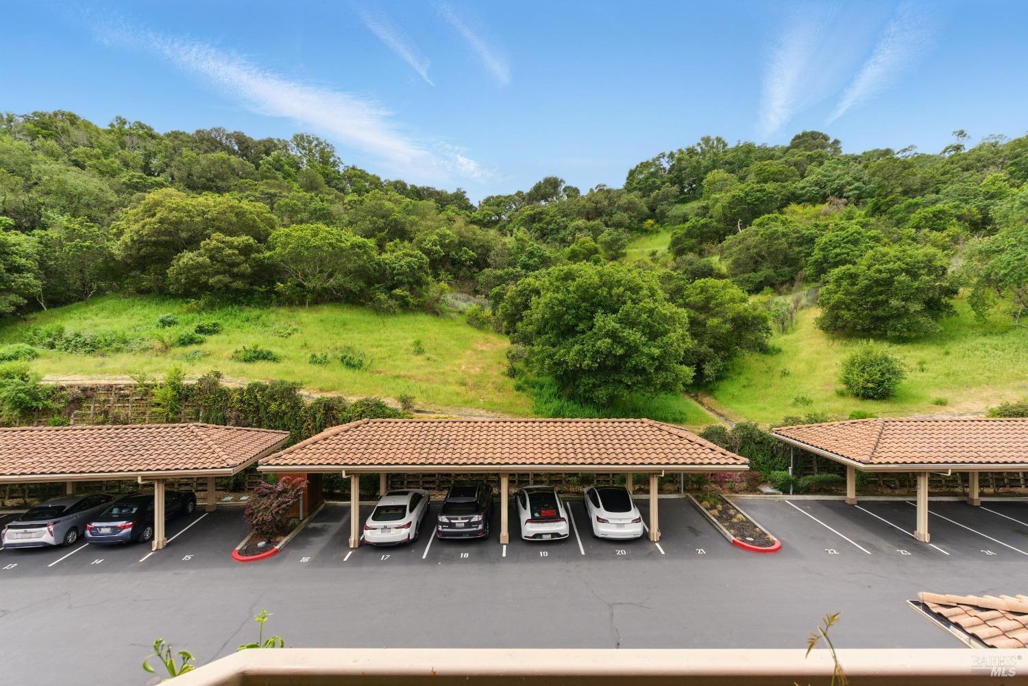 Detail Gallery Image 37 of 39 For 401 North Ave #310,  San Rafael,  CA 94903 - 1 Beds | 1 Baths
